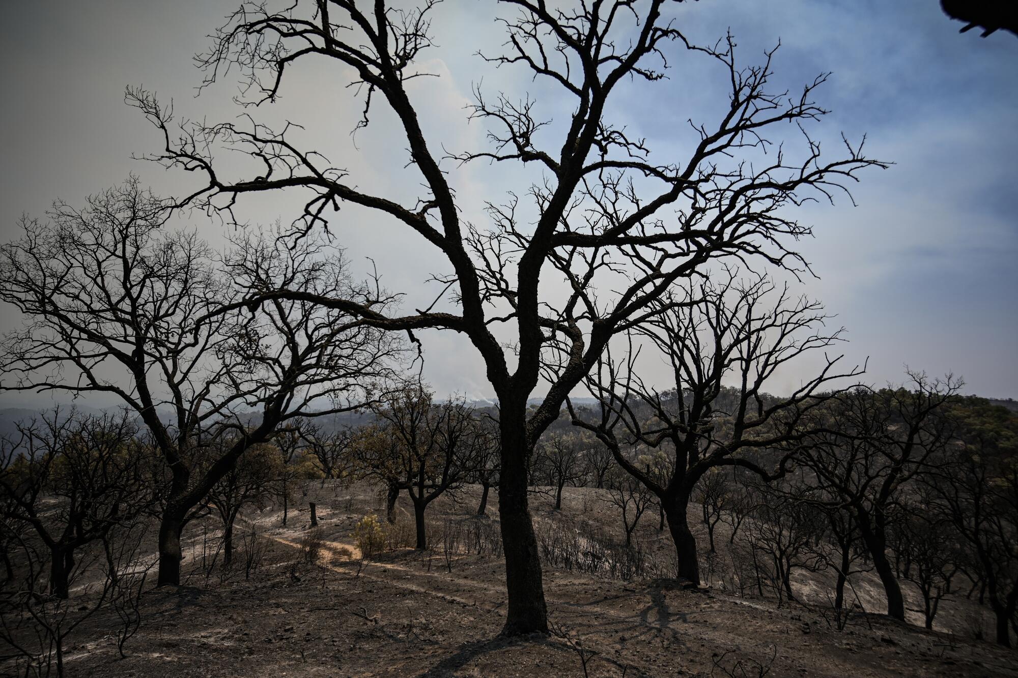 Incendio Niebla Pata del Caballo