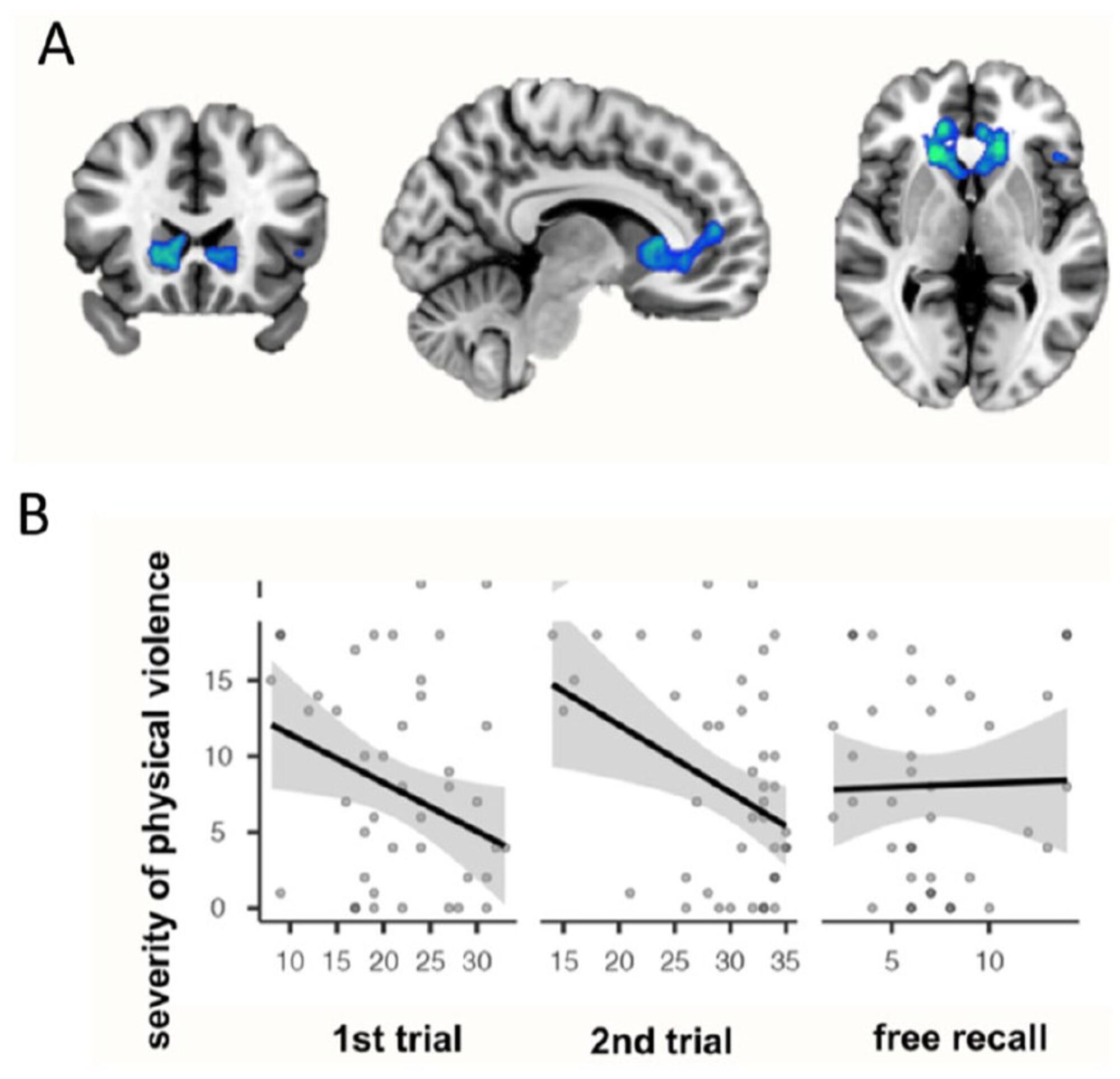 violencia de género memoria 2