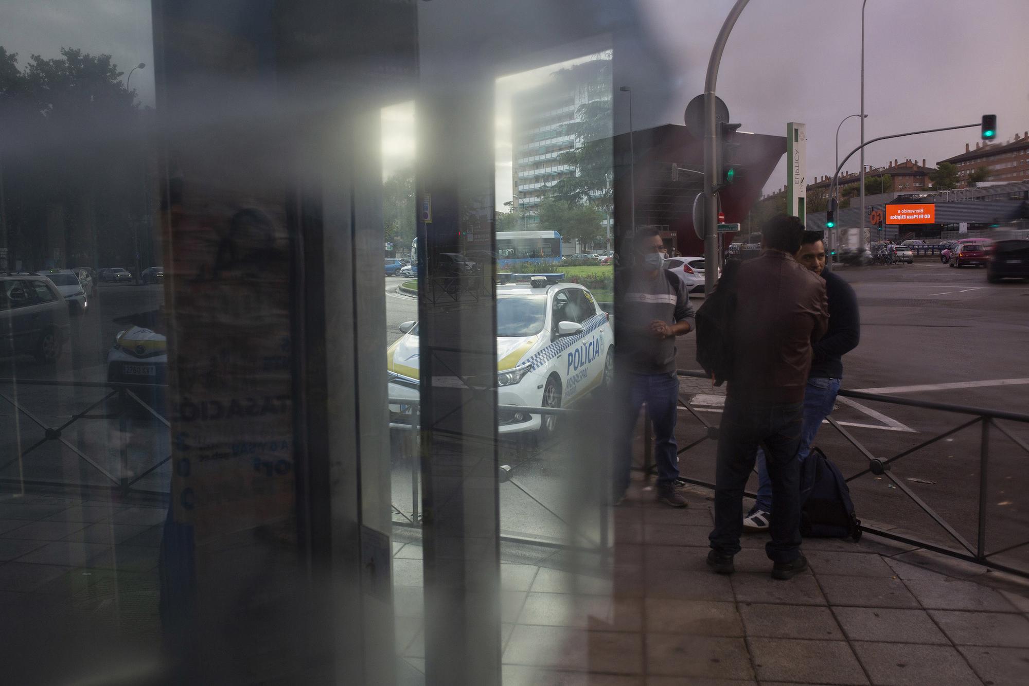 Palza Elíptica jornaleros - 9