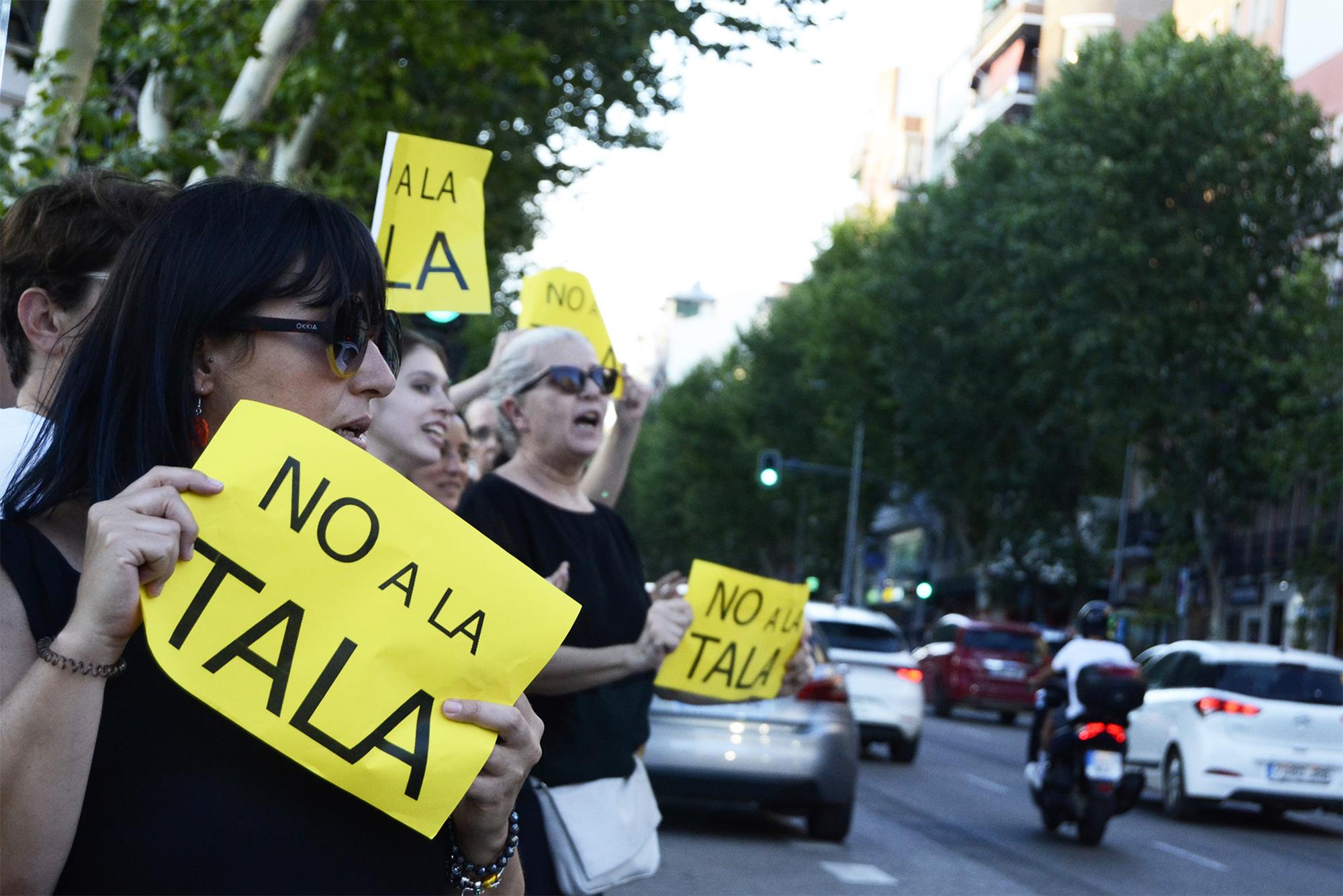 No a la tala salvemos la arboleda - 13