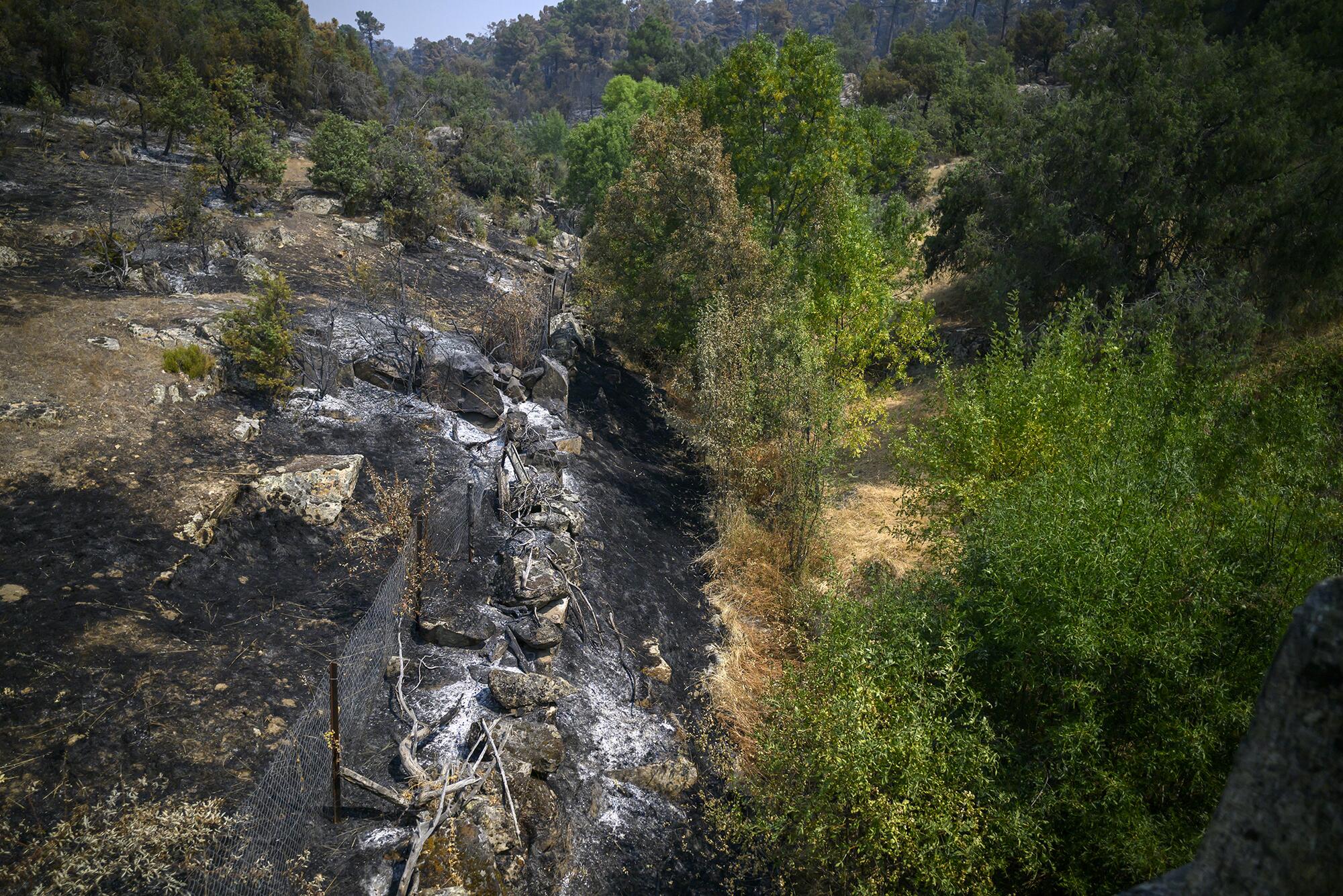 Incendio Navaluenga - 16