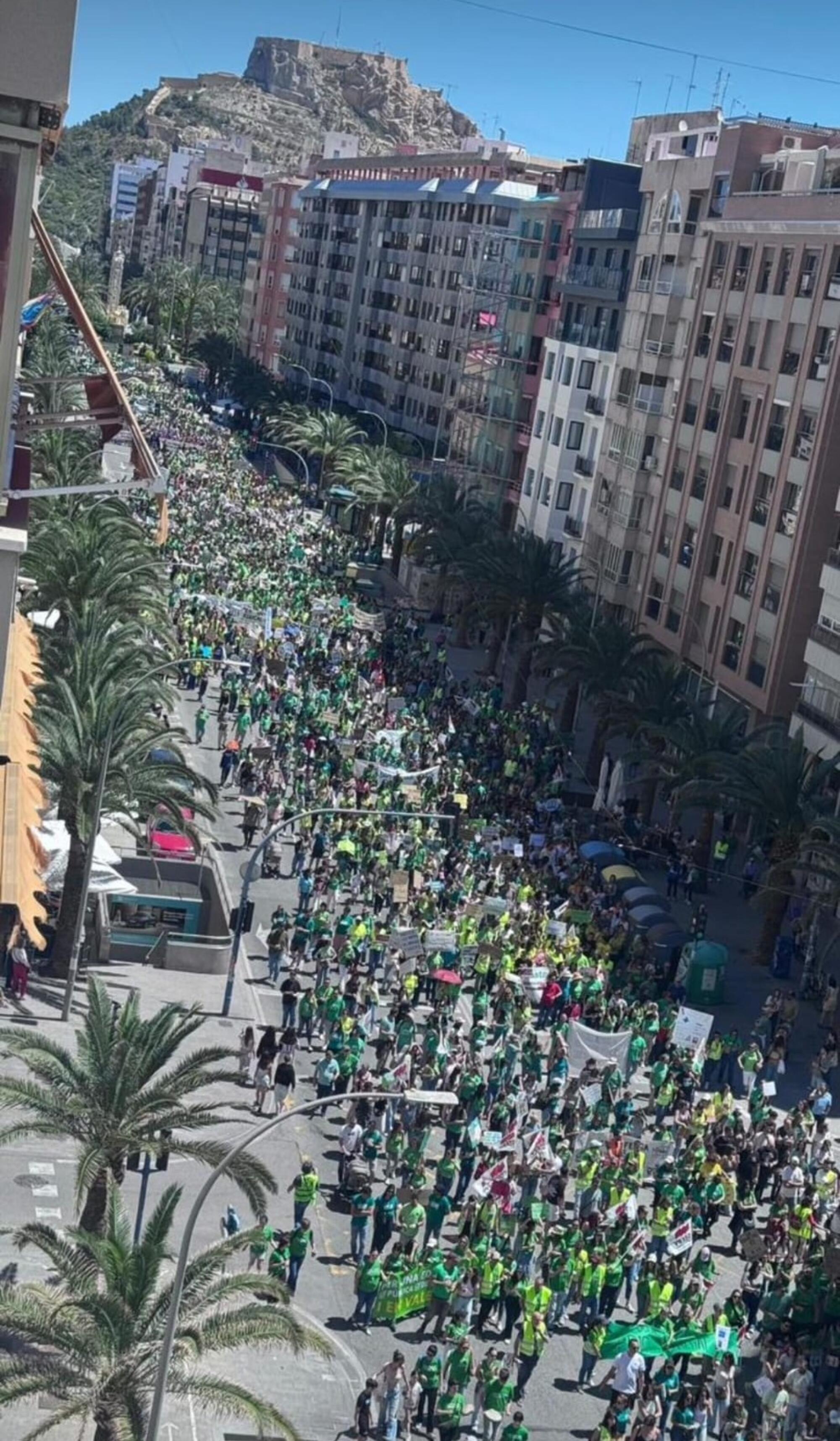 Vaga educació Alacant 2026