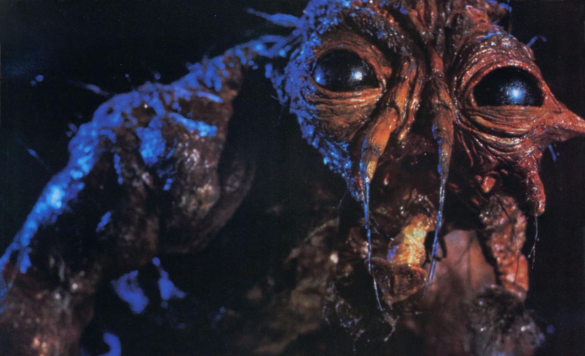 thefly2