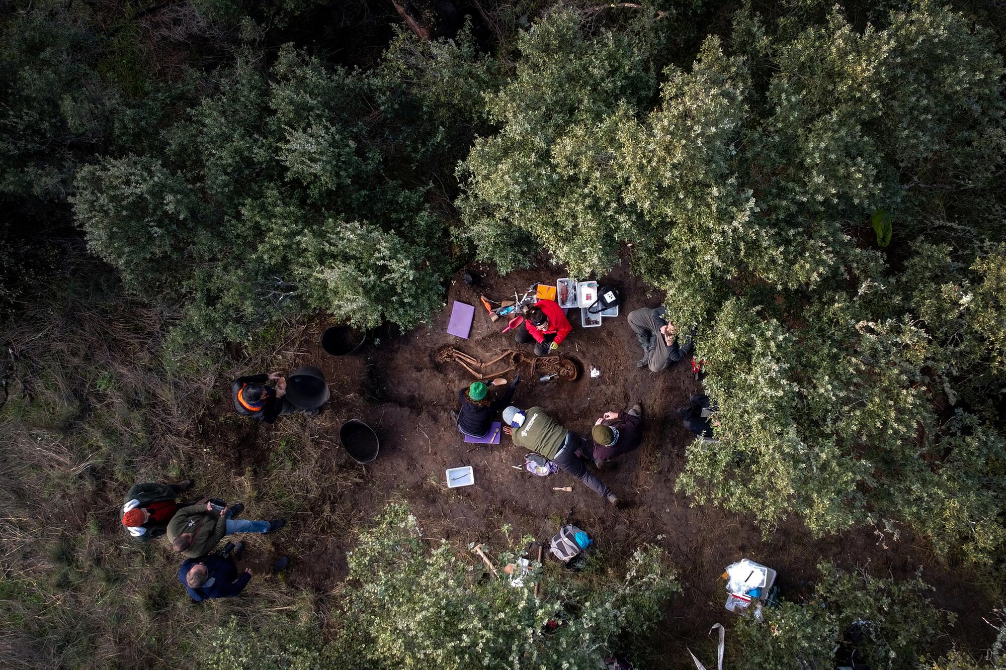 Brigadista Boadilla - 11