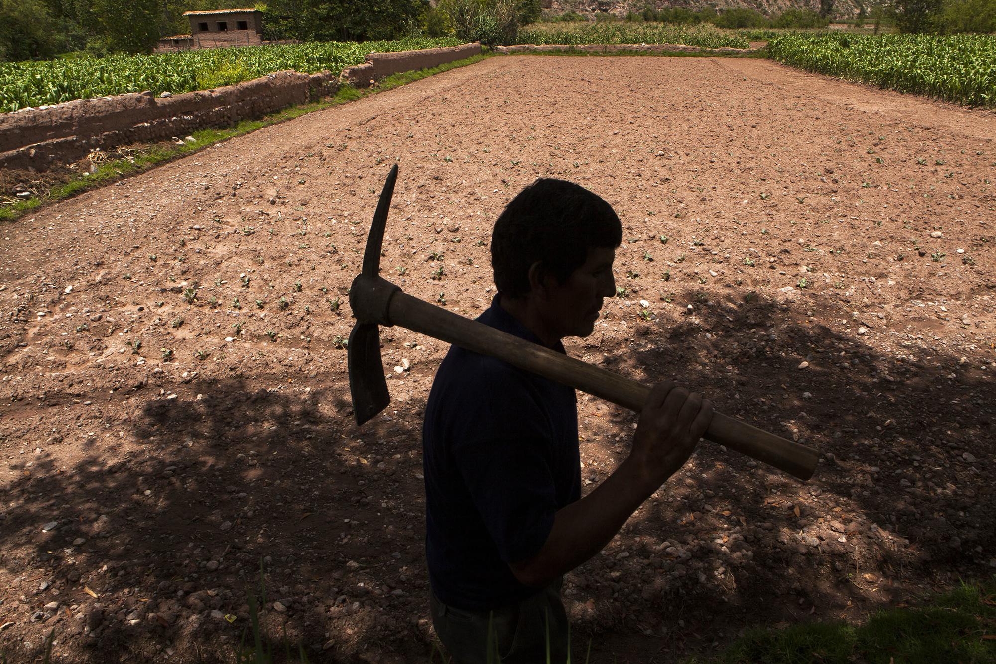 Agricultor Peru