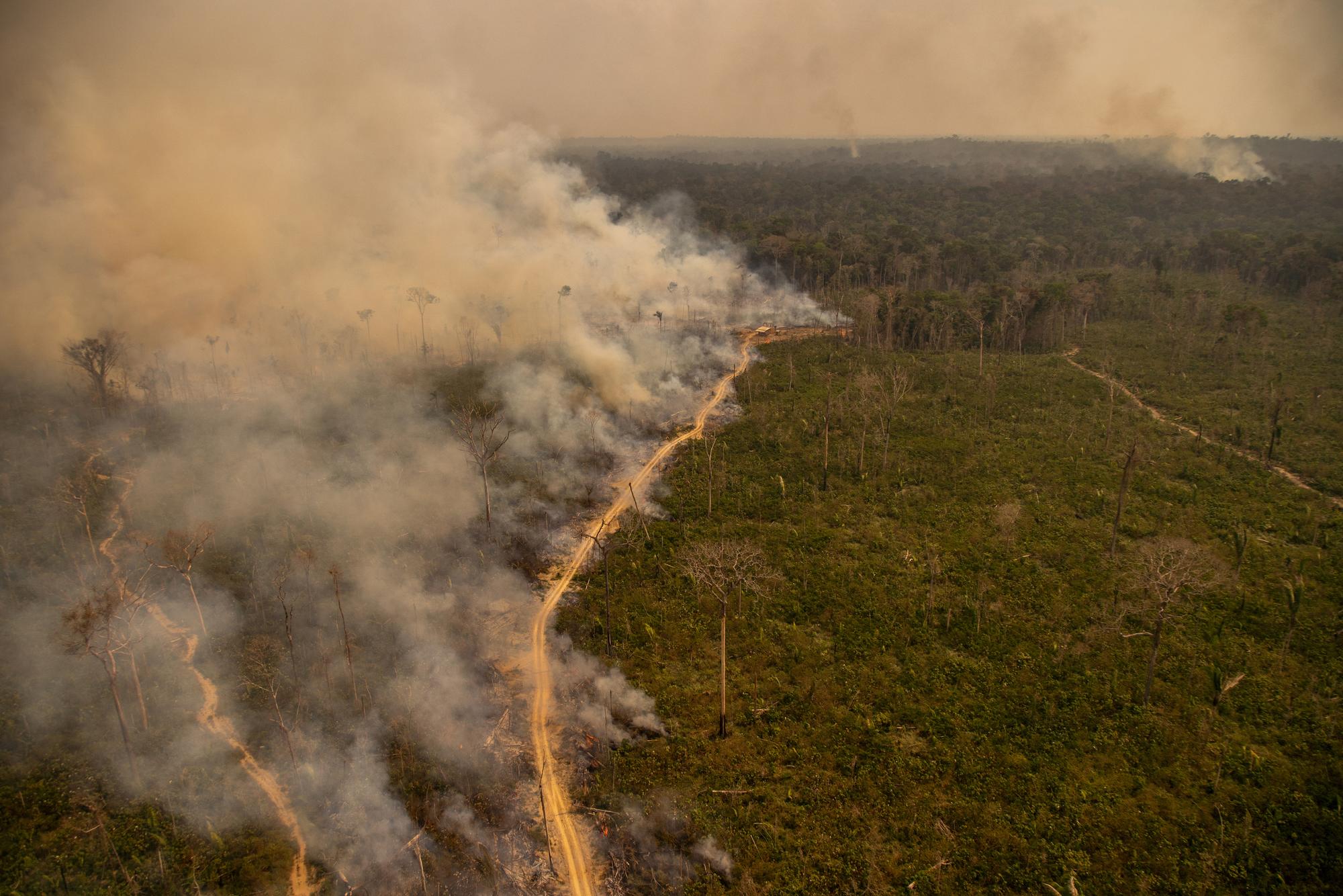 Incendios Amazonía 2020.