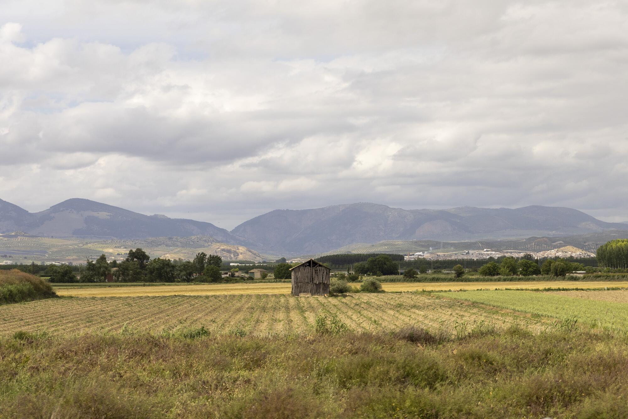 Galería recursos Andalucía 10-05-2026 - 9