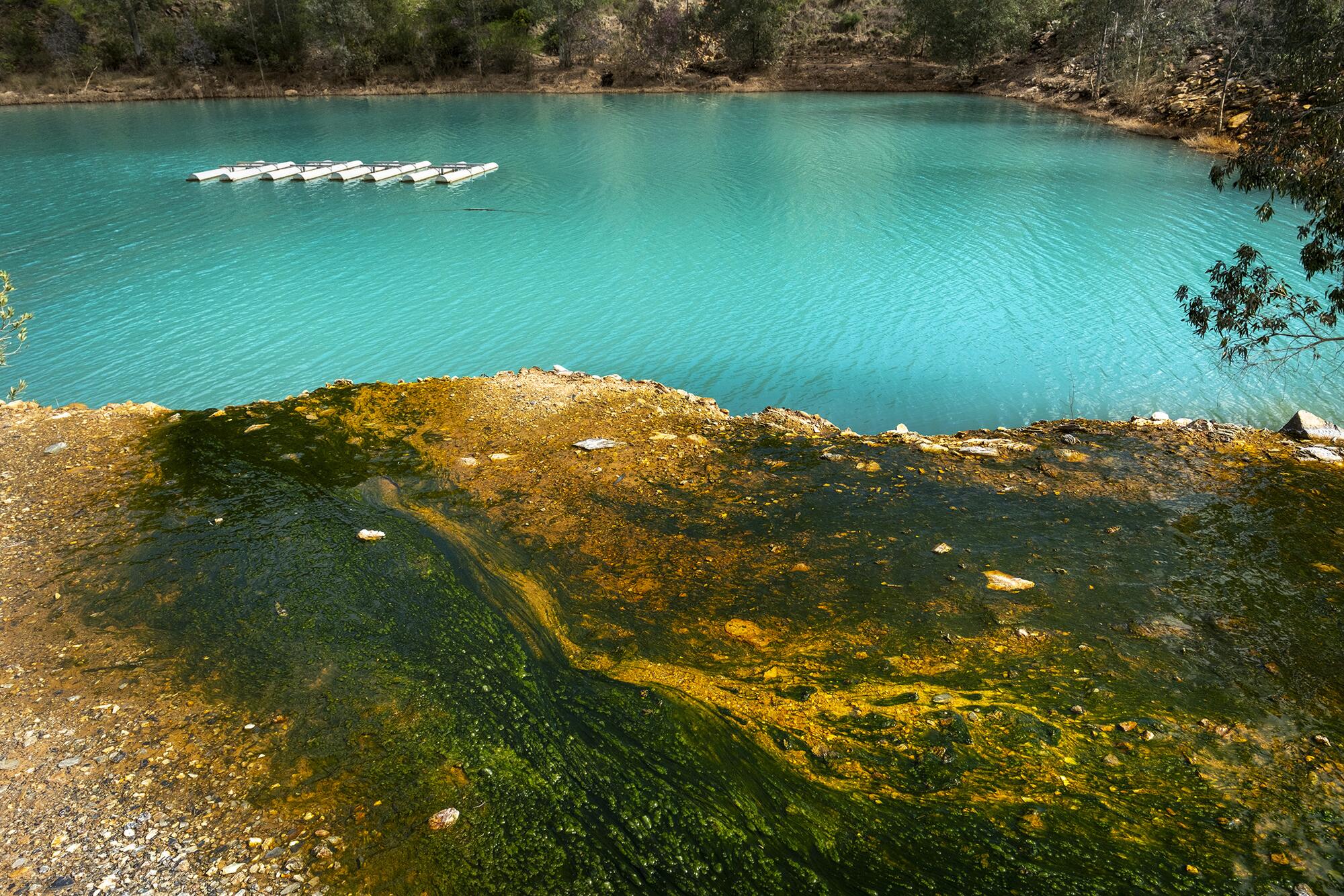 Aznalcollar Greenpeace - 1