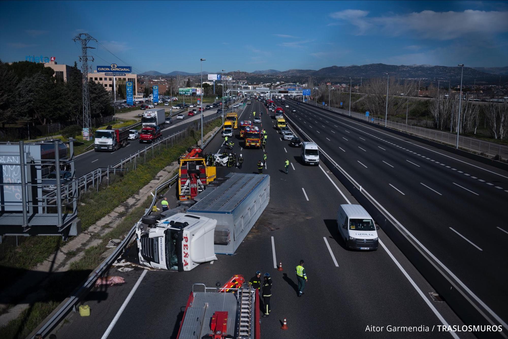 Camión cargado con cerdos en la A6 (Madrid) | Aitor Garmendia | Tras los Muros