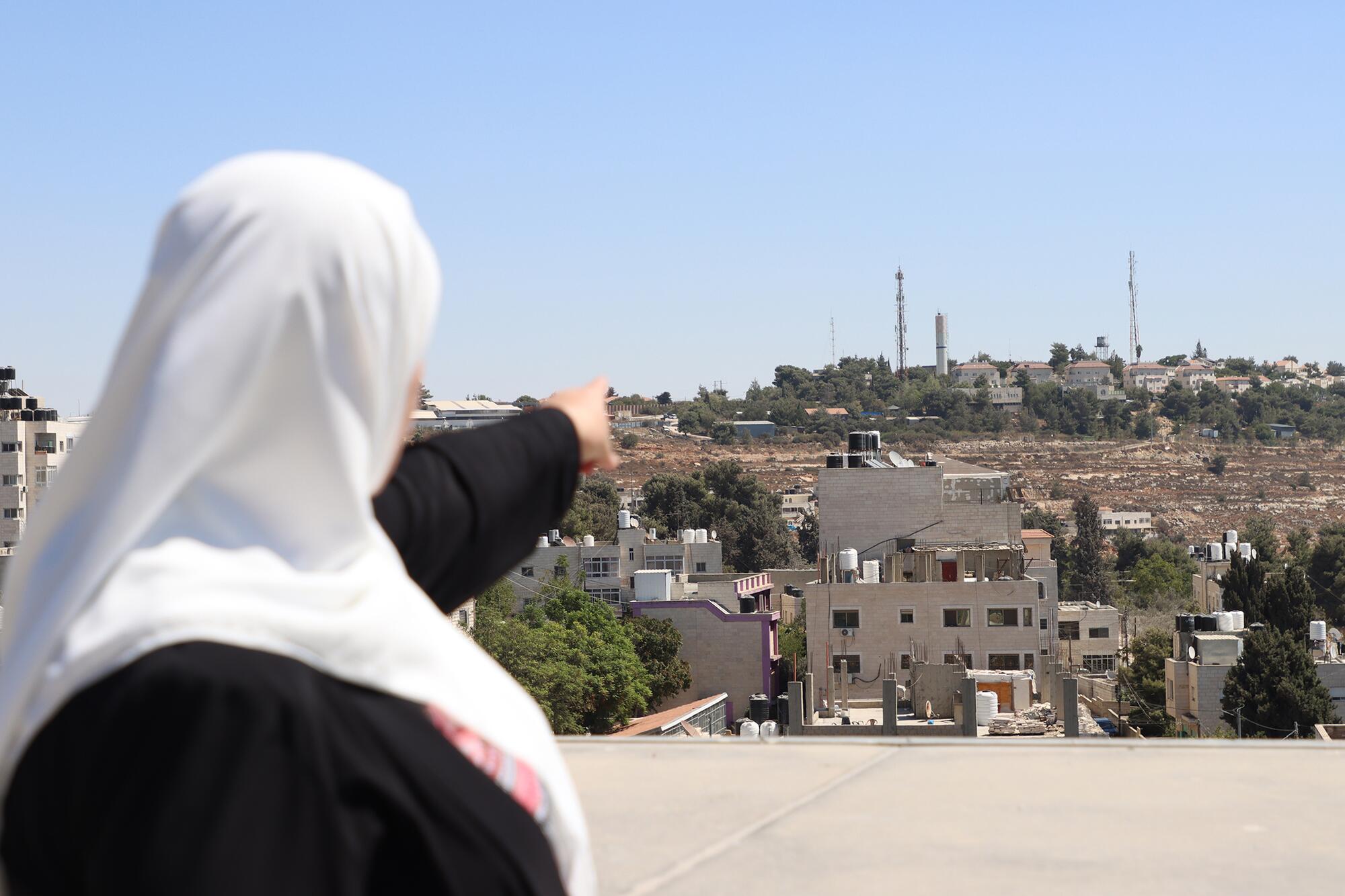 Palestina Viñedos - 3