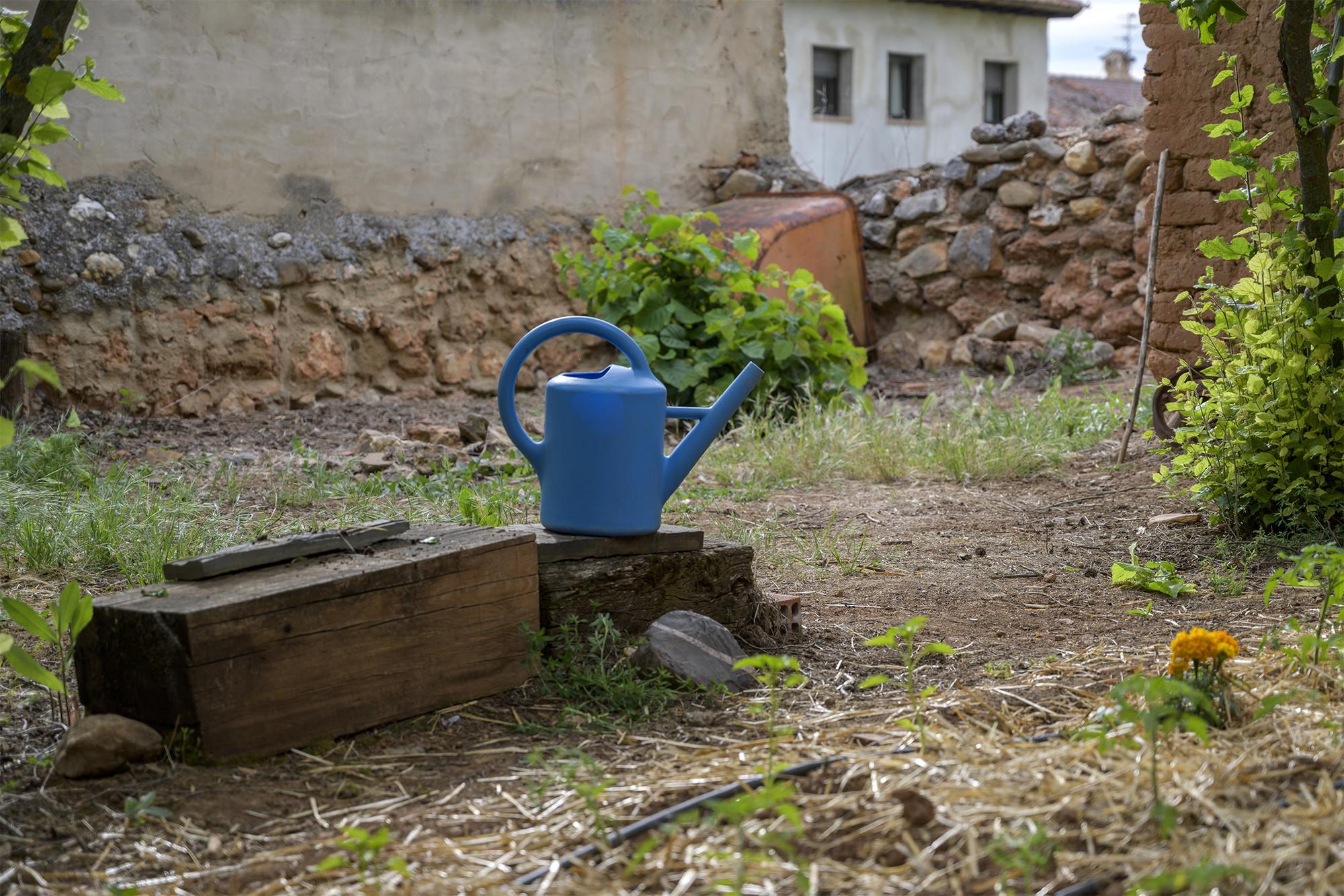 Huerta riego rural