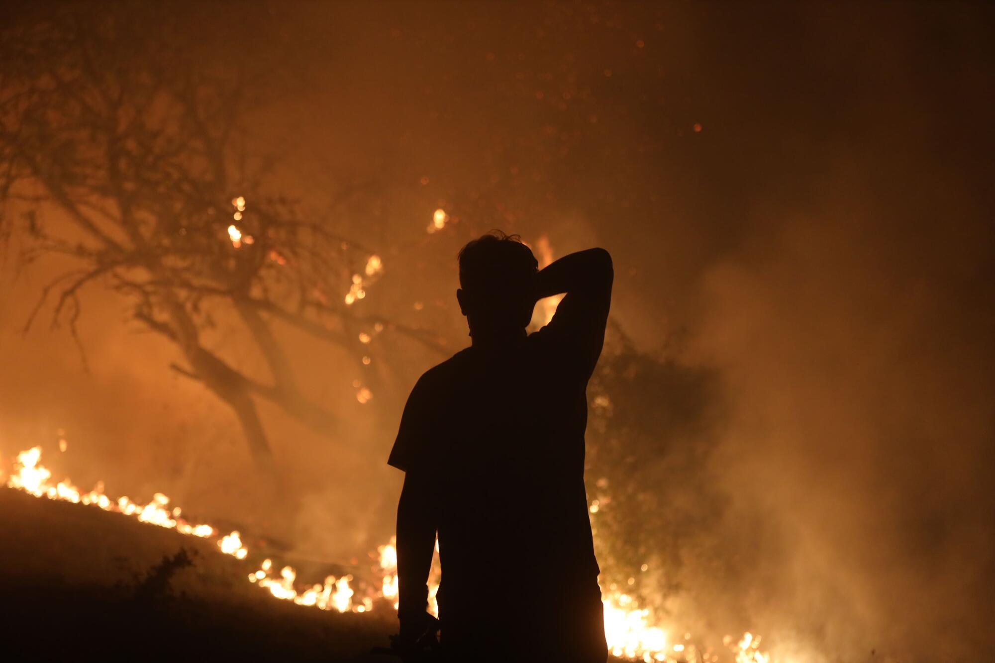 Incendio Cima de Vila, Concello de Pantón, Lugo - 6
