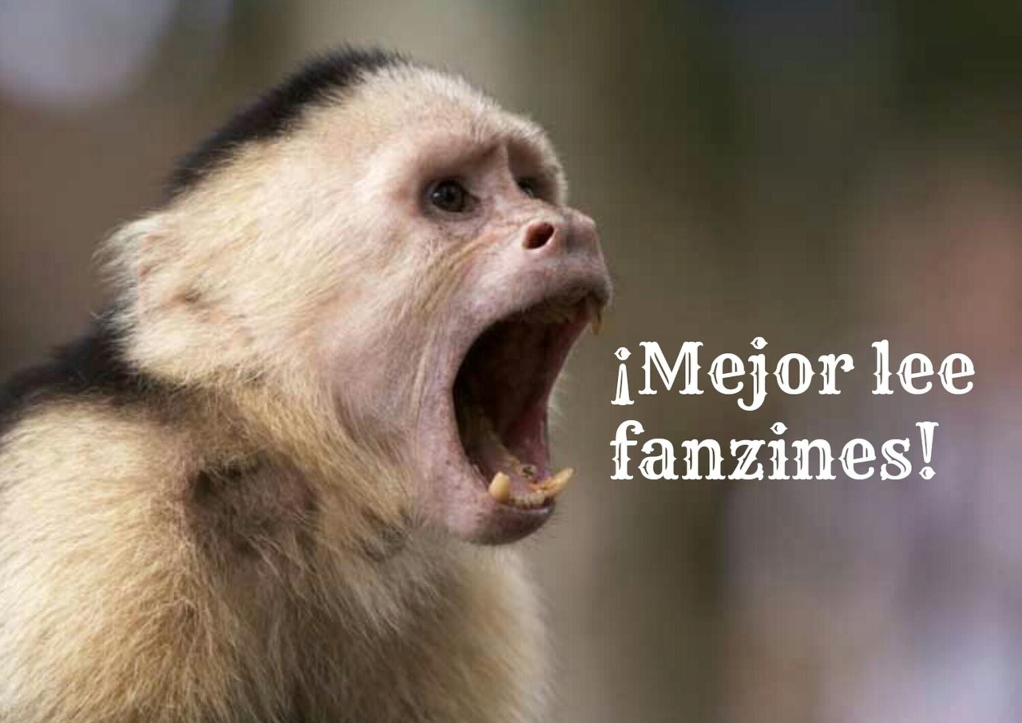 mejor lee fanzines