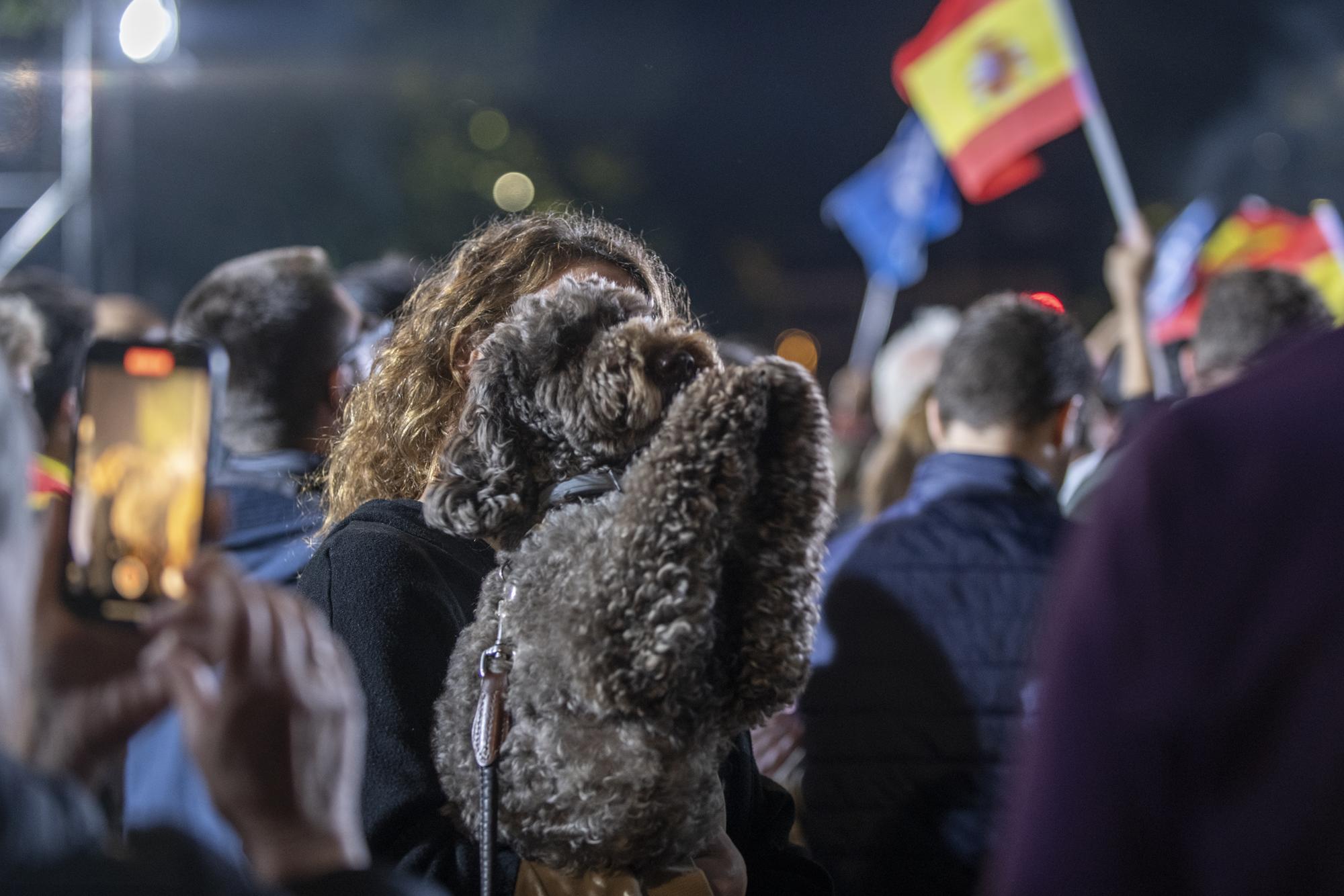 Elecciones 23 PP Génova - 10