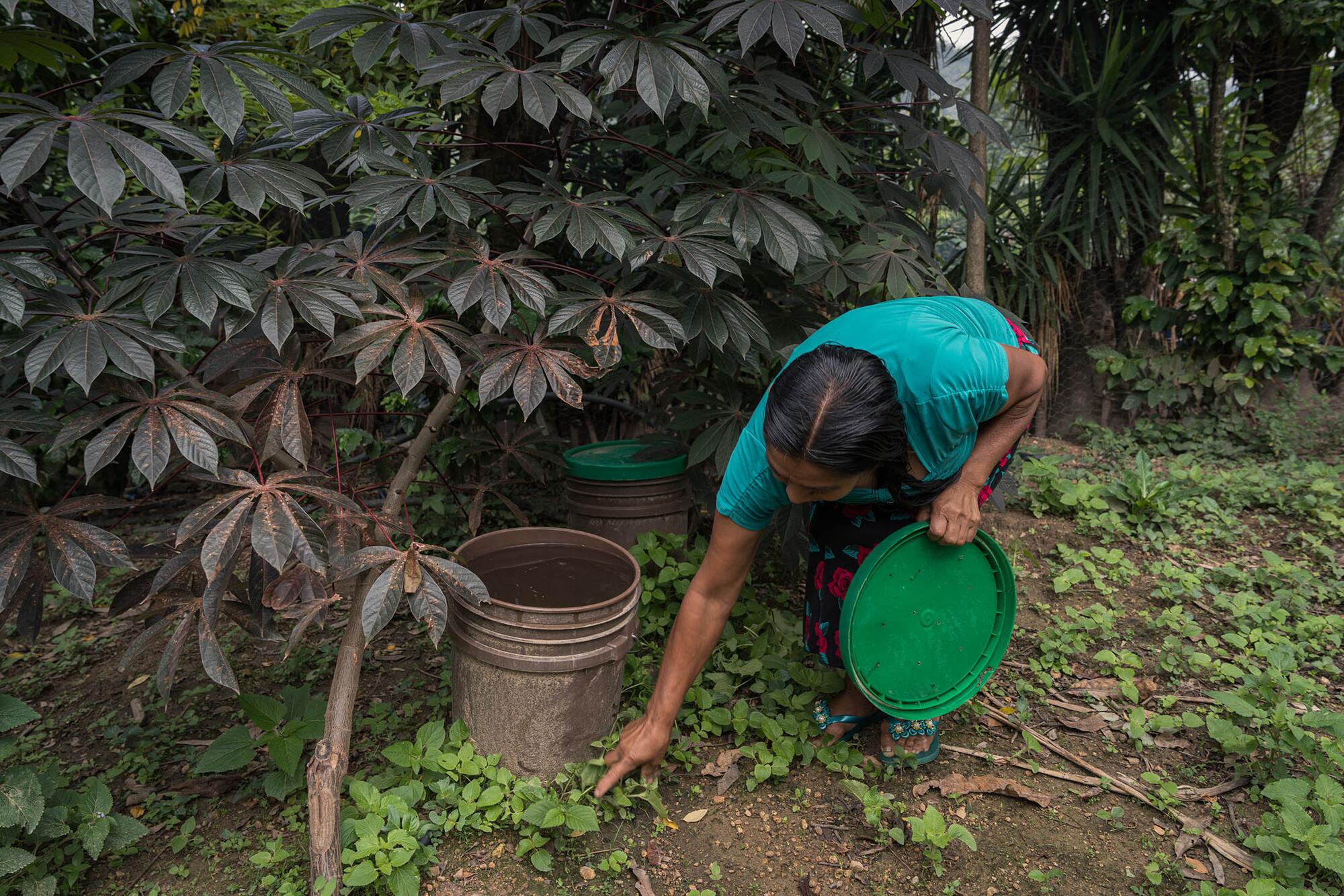 Guatemala Adri Salido - 2