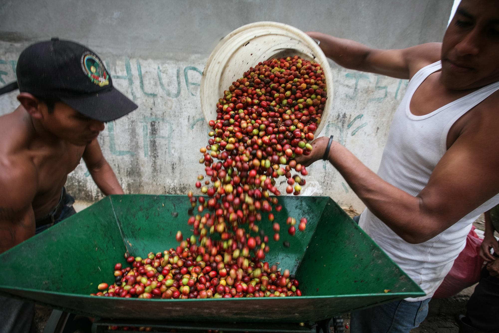 Comercio justo