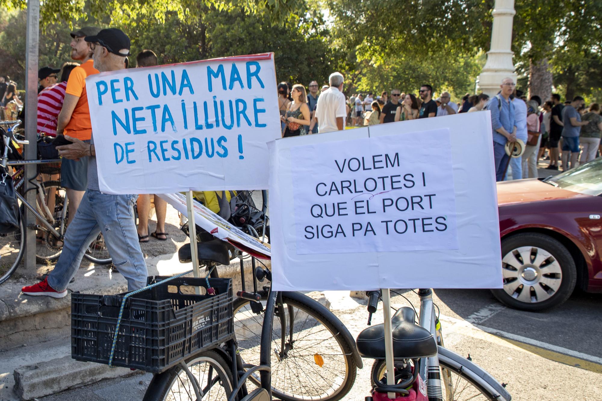 Manifestación contra la ampliación puerto de València - 7