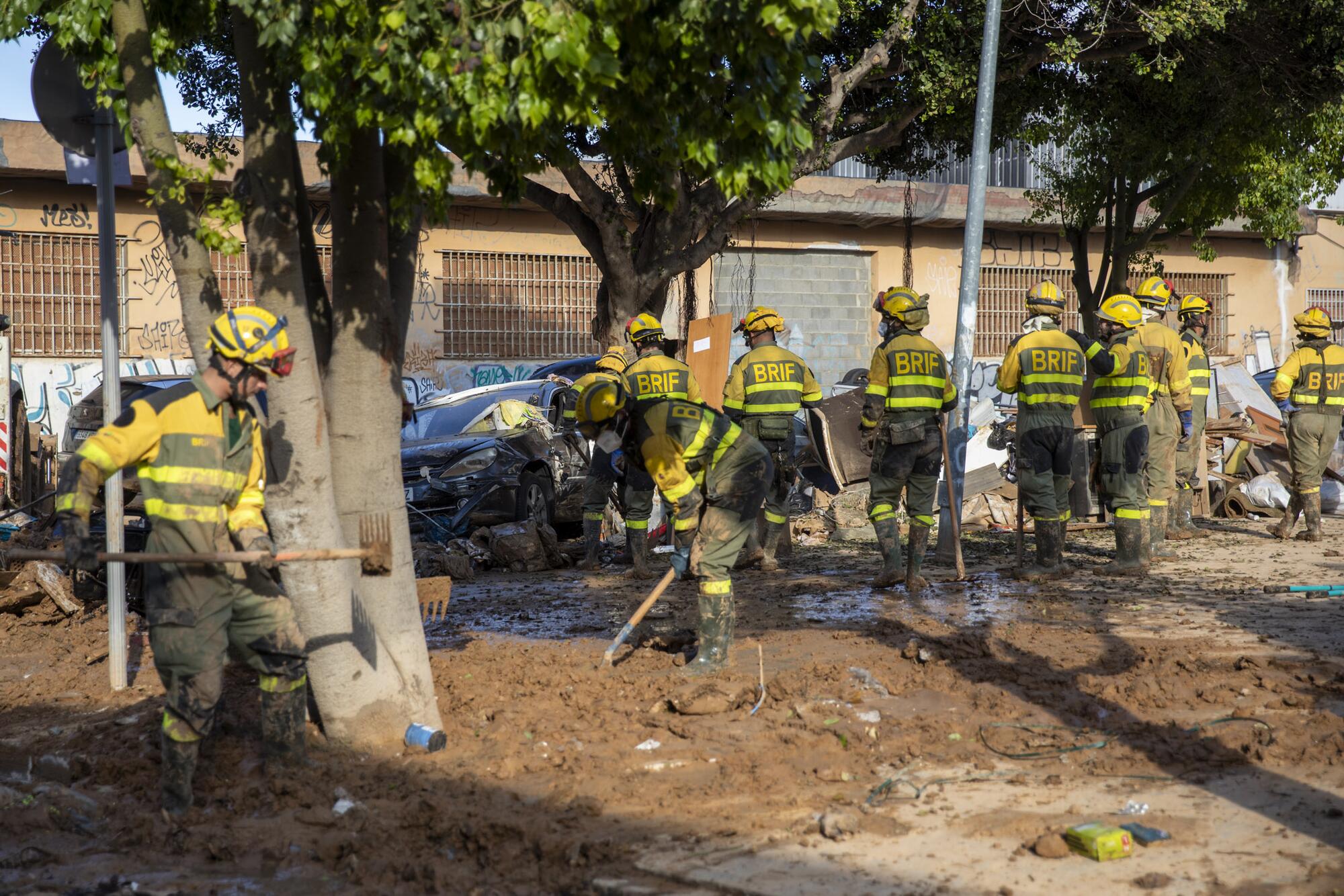 Galería Aniversario Dana 29-10-25 - 8
