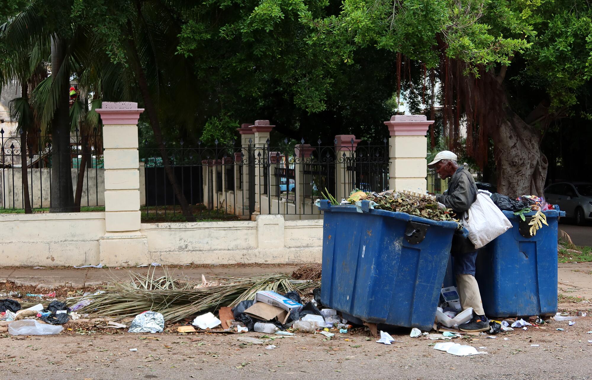 Un anciano rebuscando en la basura. Vedado. La Habana.