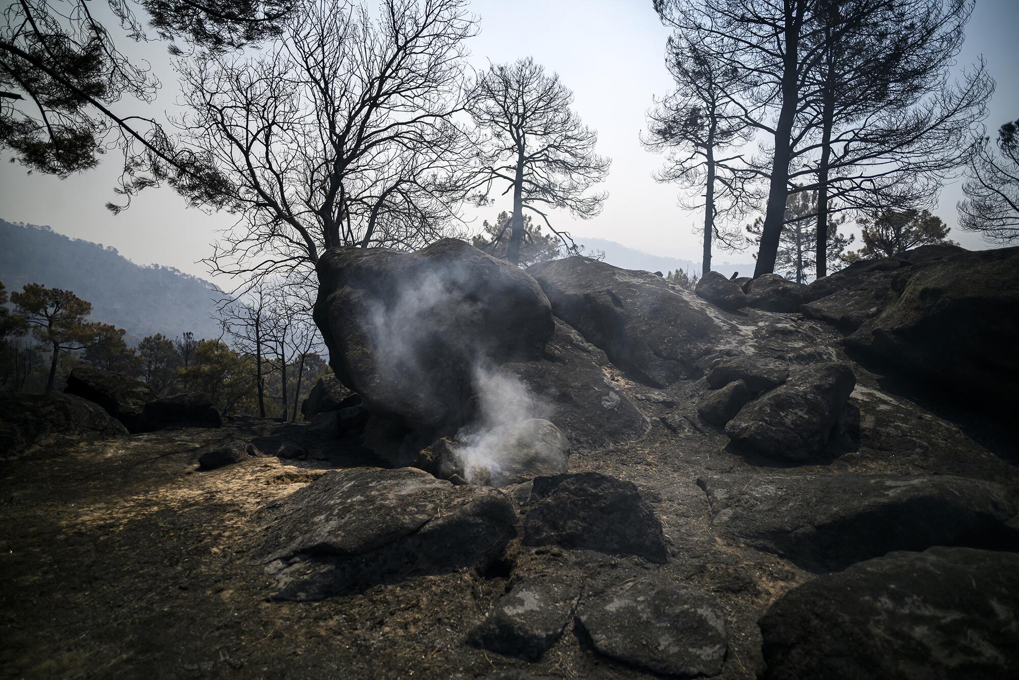 Incendio Navaluenga - 12