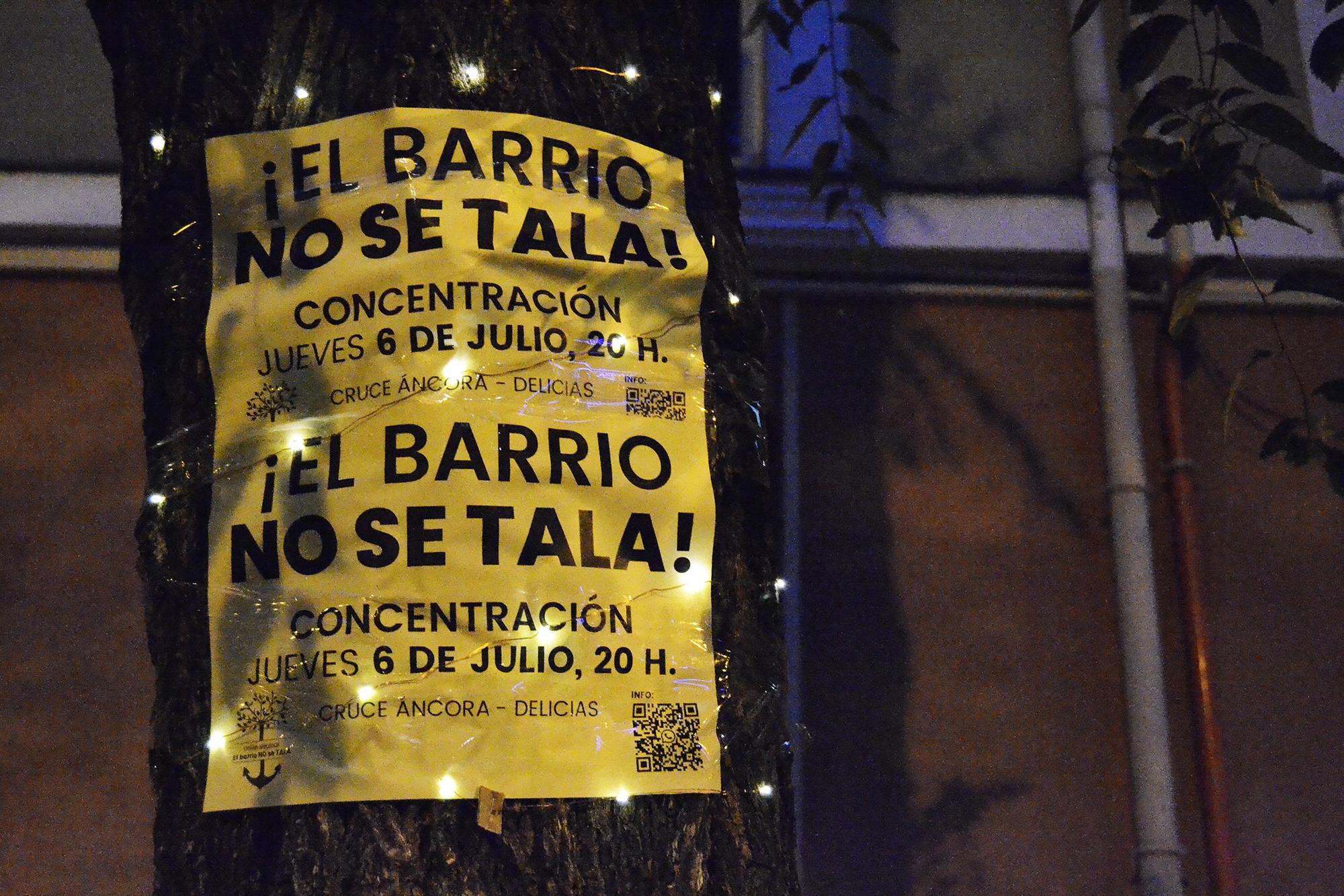 No a la tala salvemos la arboleda - 14