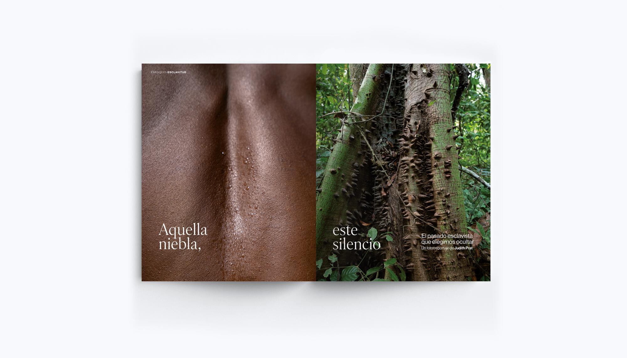 Revista 83_4