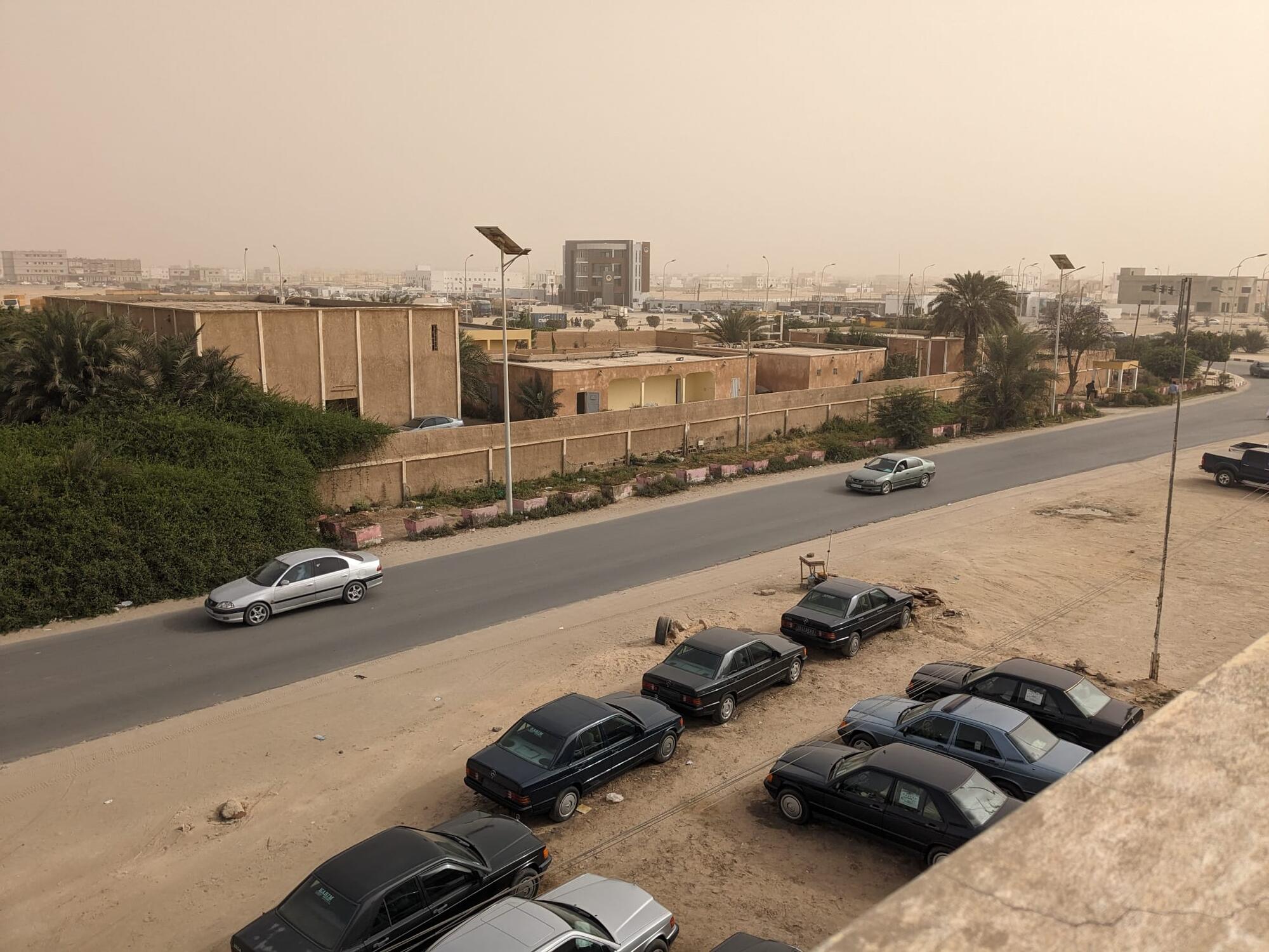 PorCausa El Salto - 1