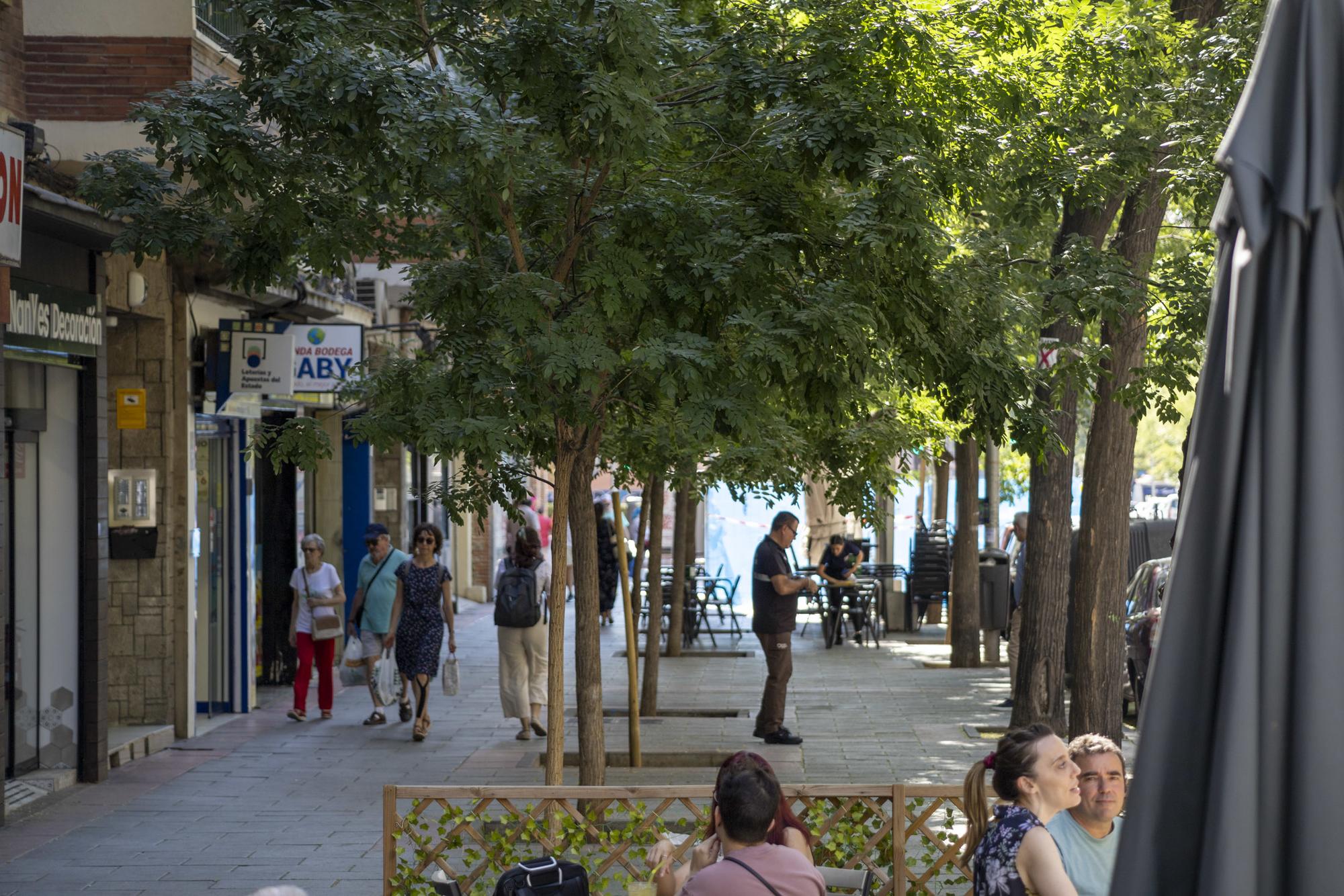 Ancora No a la Tala - 6