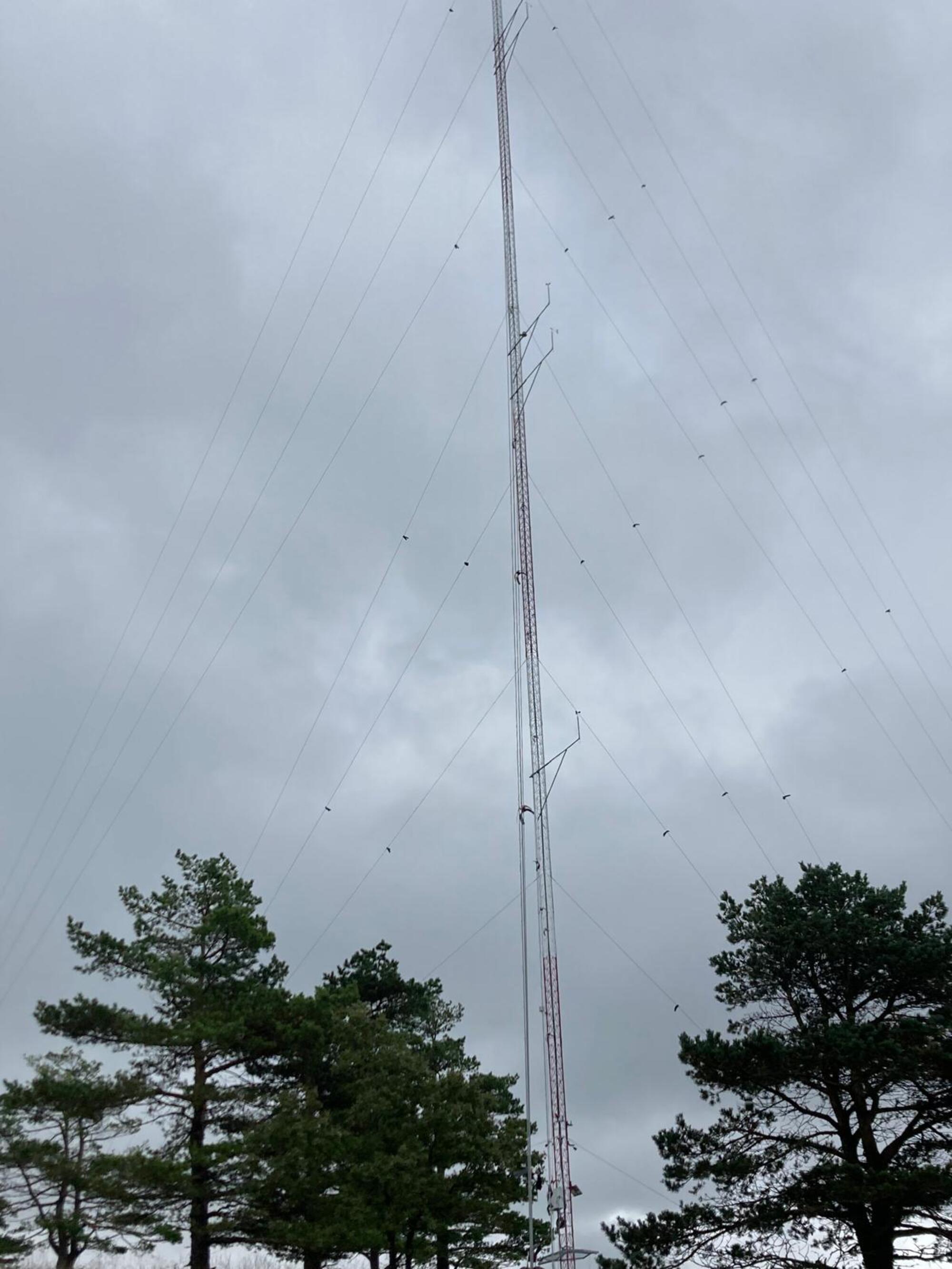 Torre meteorológica de 82,5 metros de altura para la medición del viento en Analamendi | Arabako Mendiak Aske