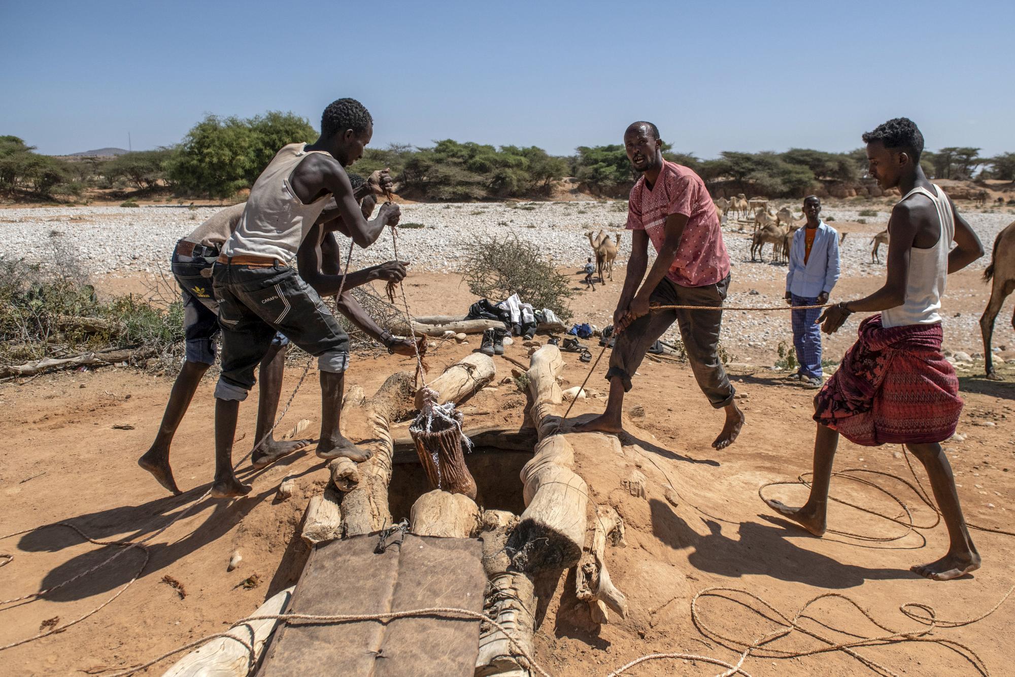 Agua Somalia Somalilandia pozo desierto