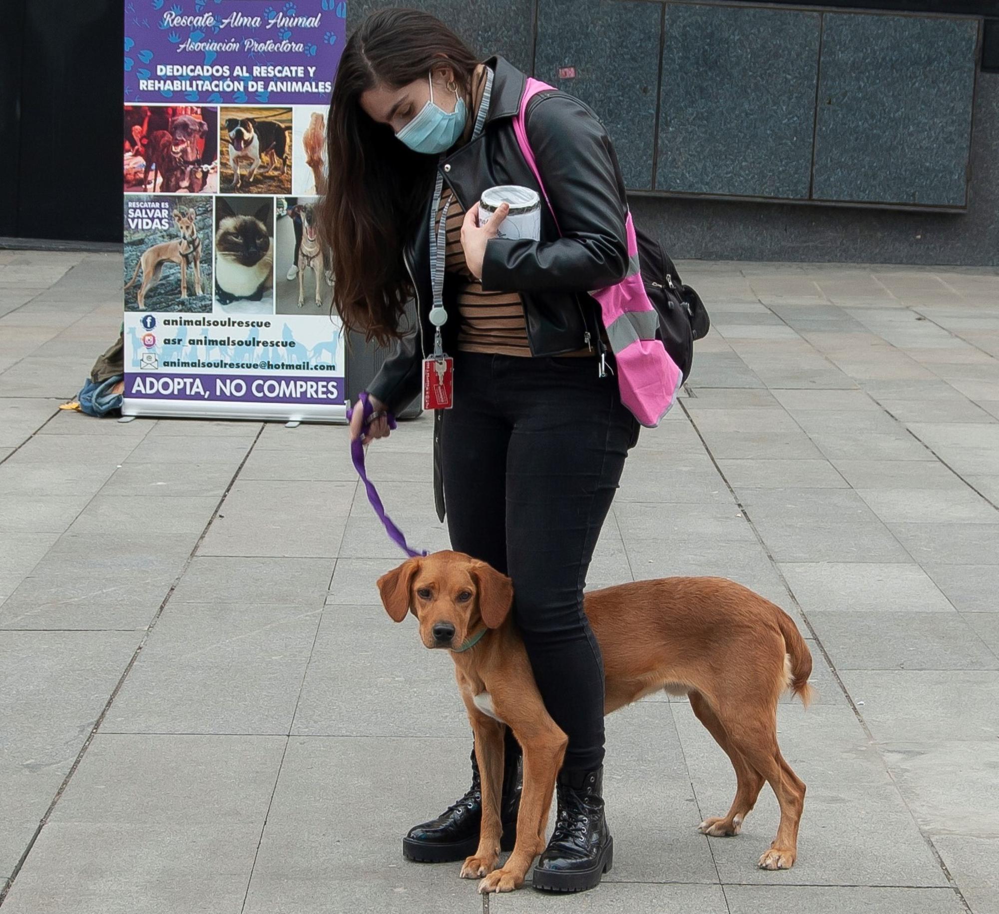 Protectora de animales ASR