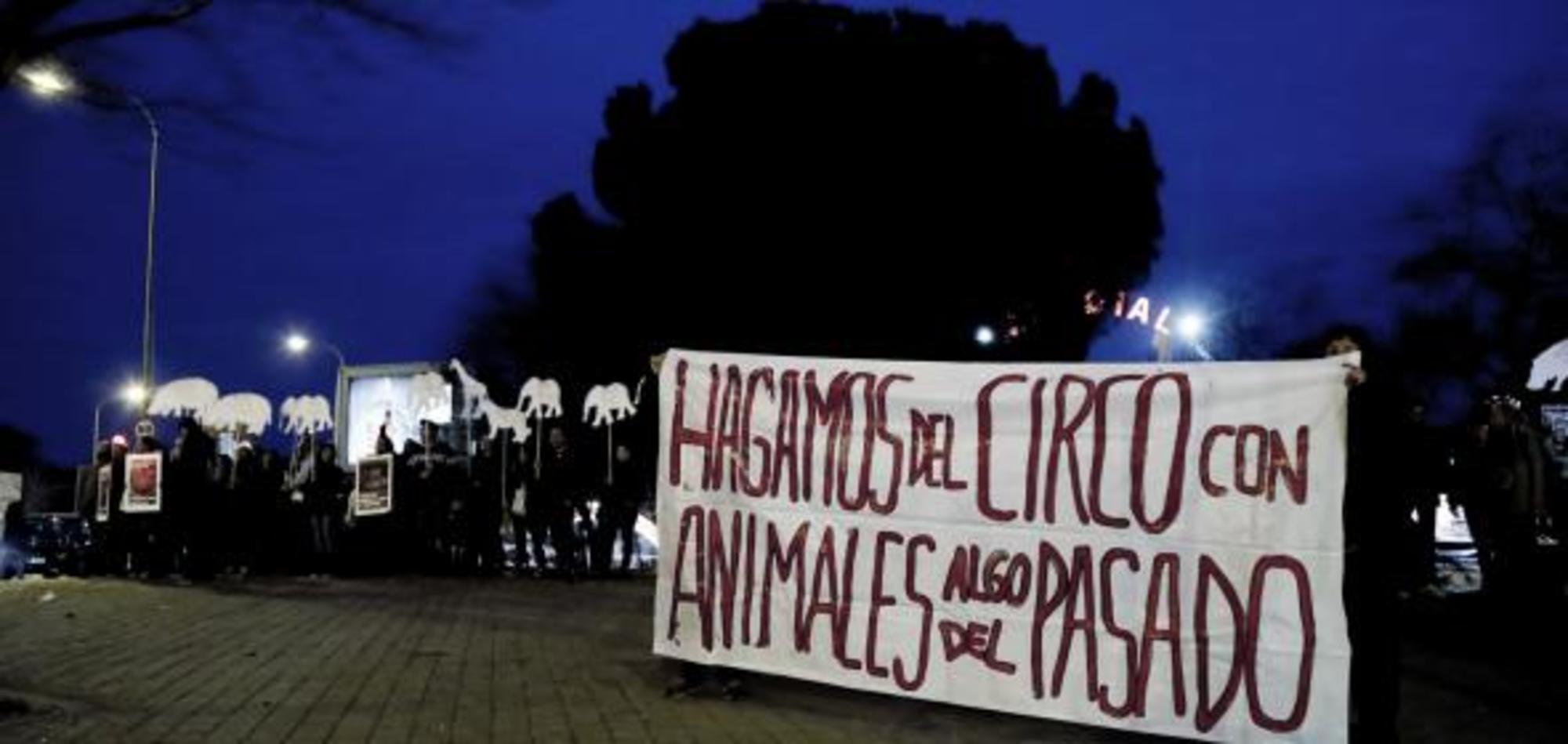 Circos con animales pancarta