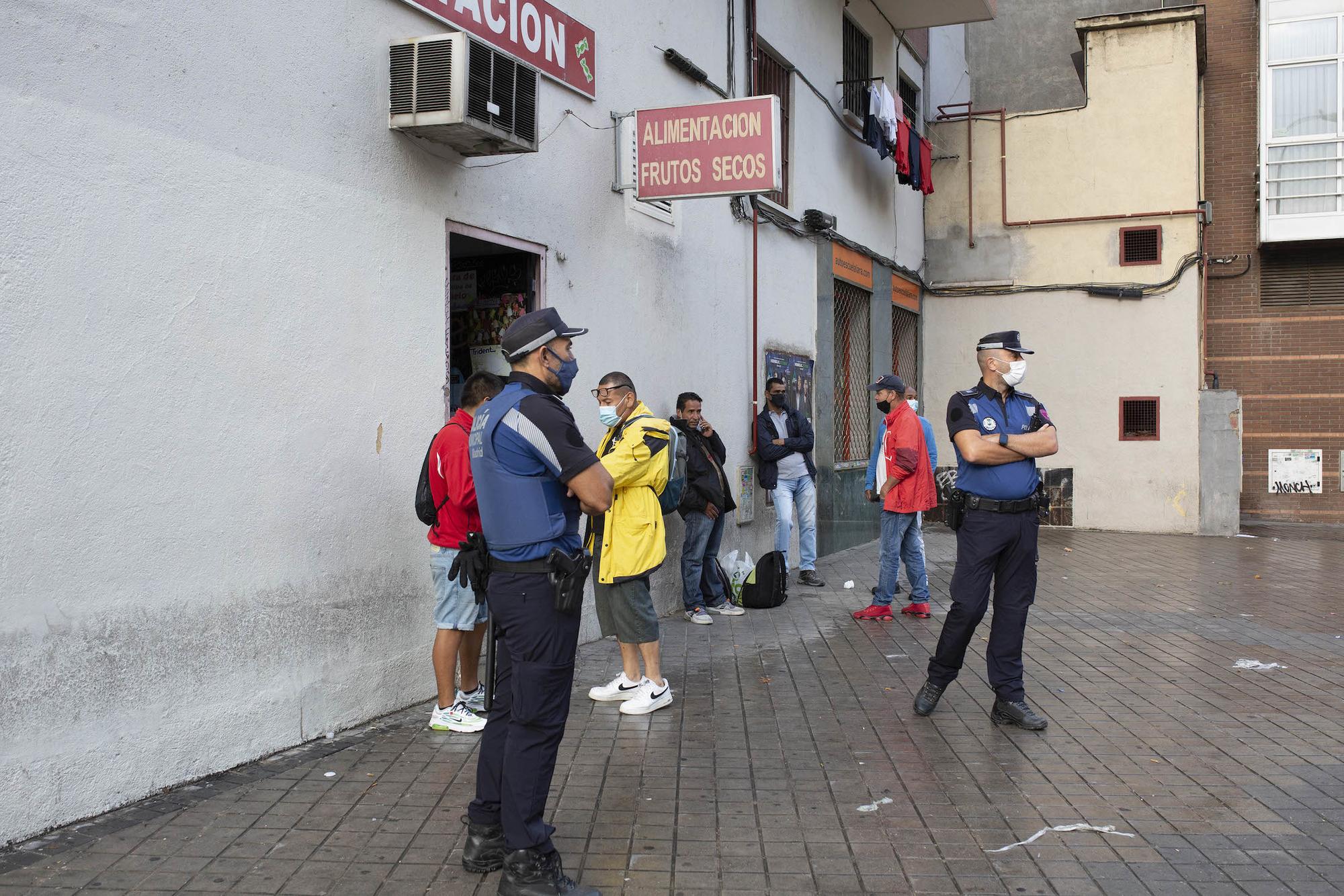 Palza Elíptica jornaleros - 10