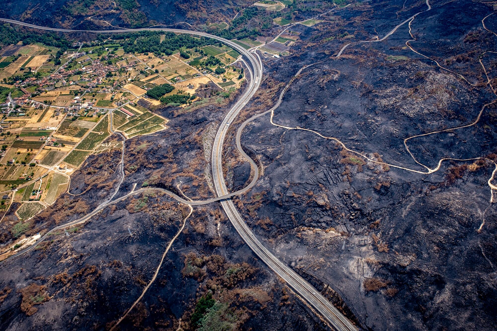 Incendios Greenpeace aereas - 15