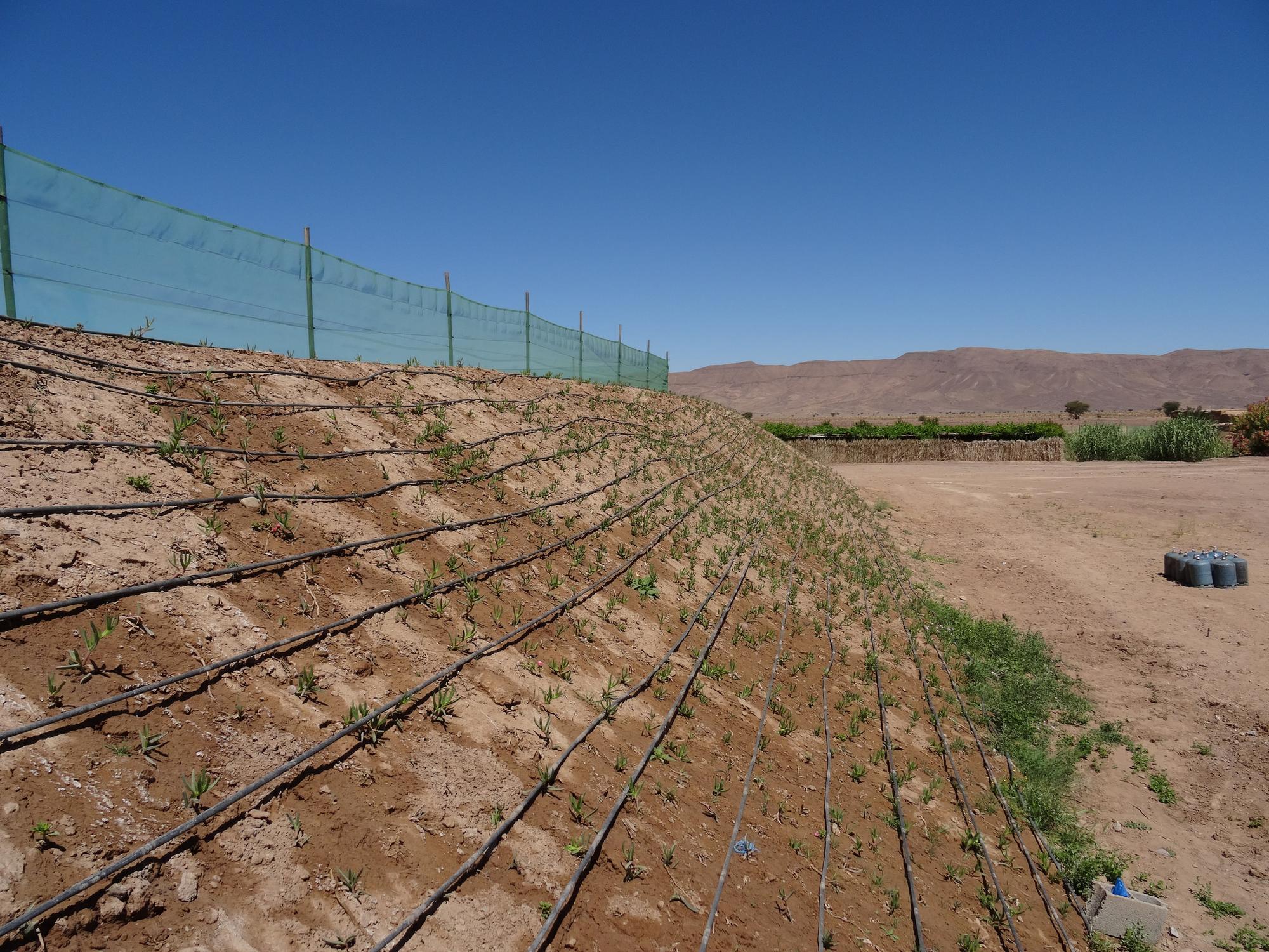 Irrigación en Zagora.