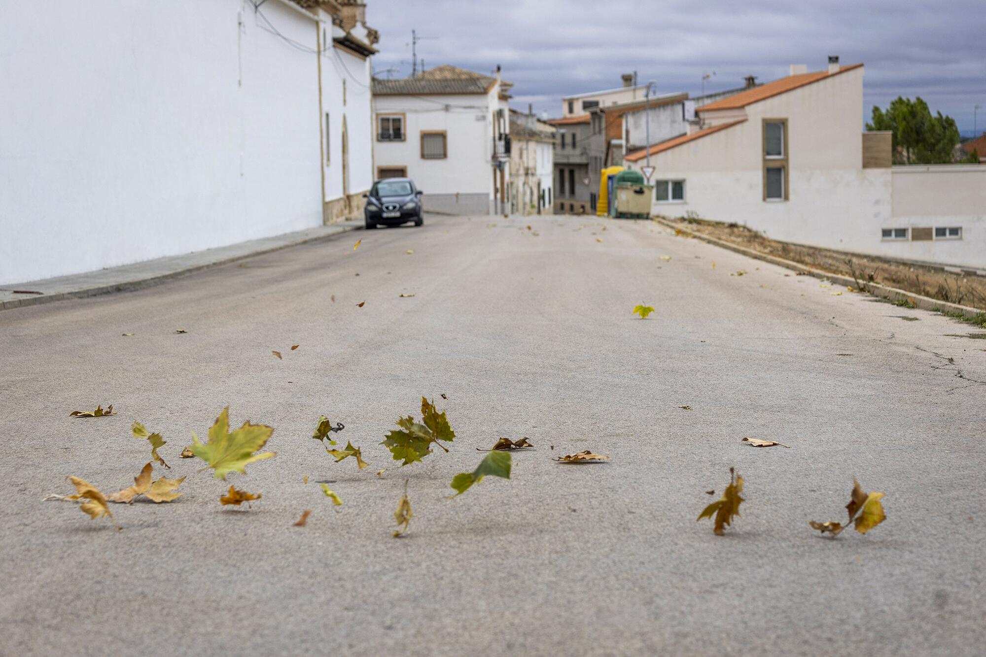 Homenaje Las Palmiras víctimas asesinato en Las Pedroñeras - 15