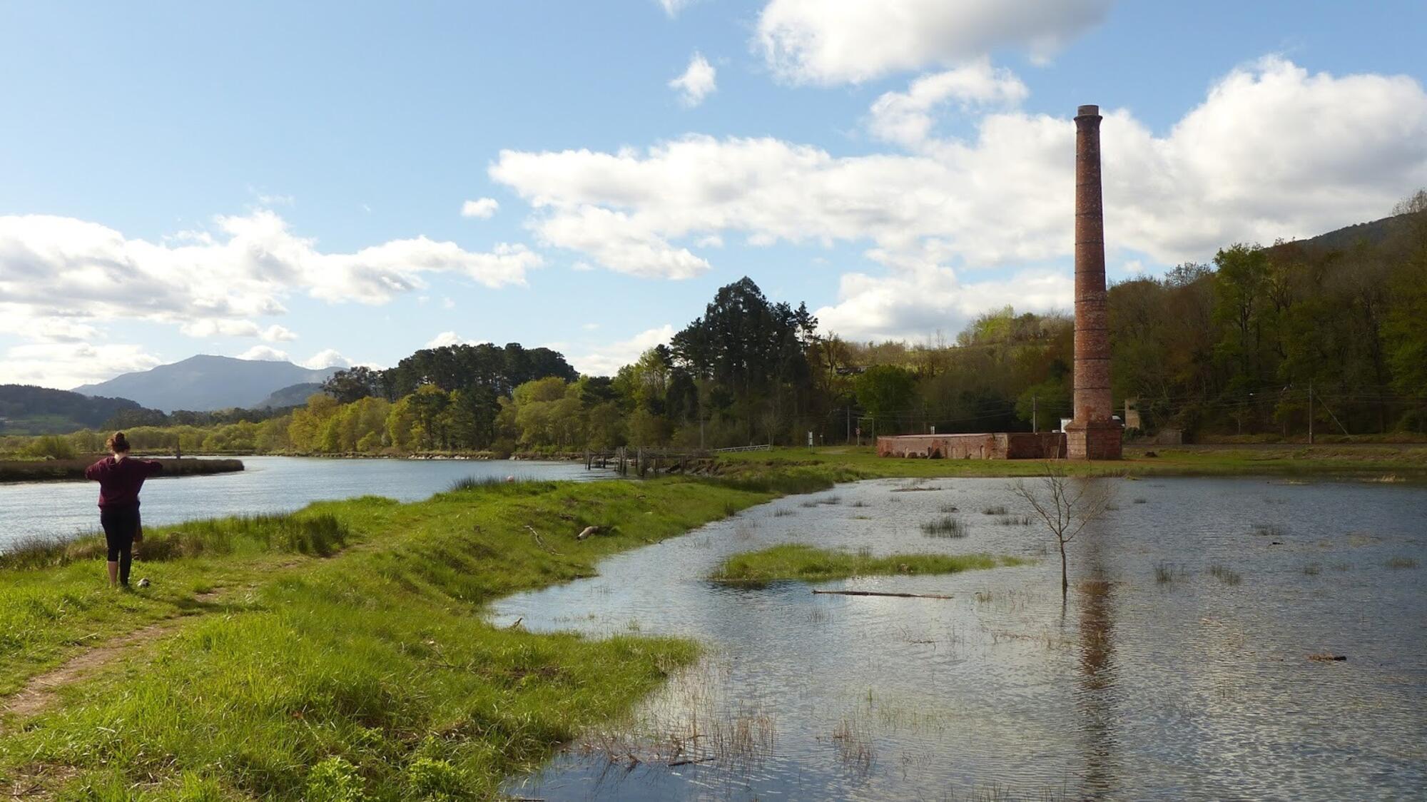 Humedal de Murueta Urdaibai