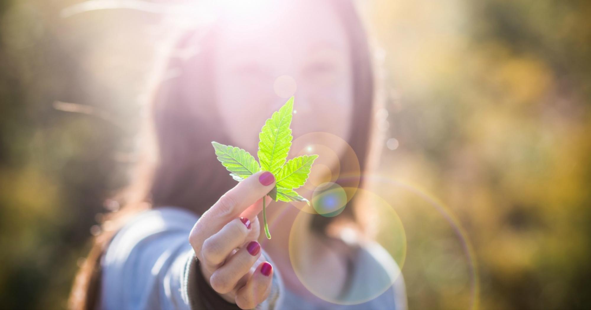 mujeres cannabis