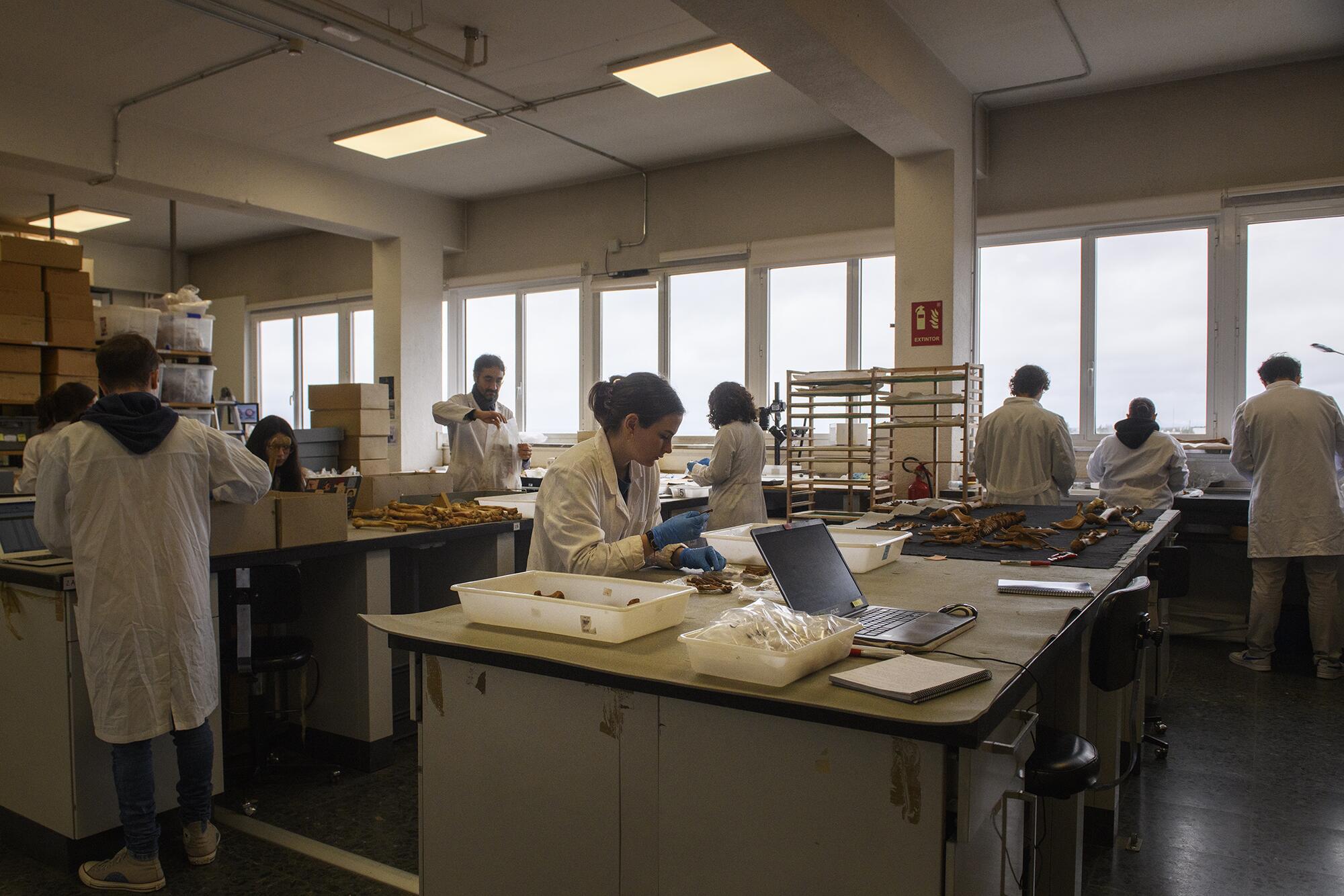 Colmenar Laboratorio