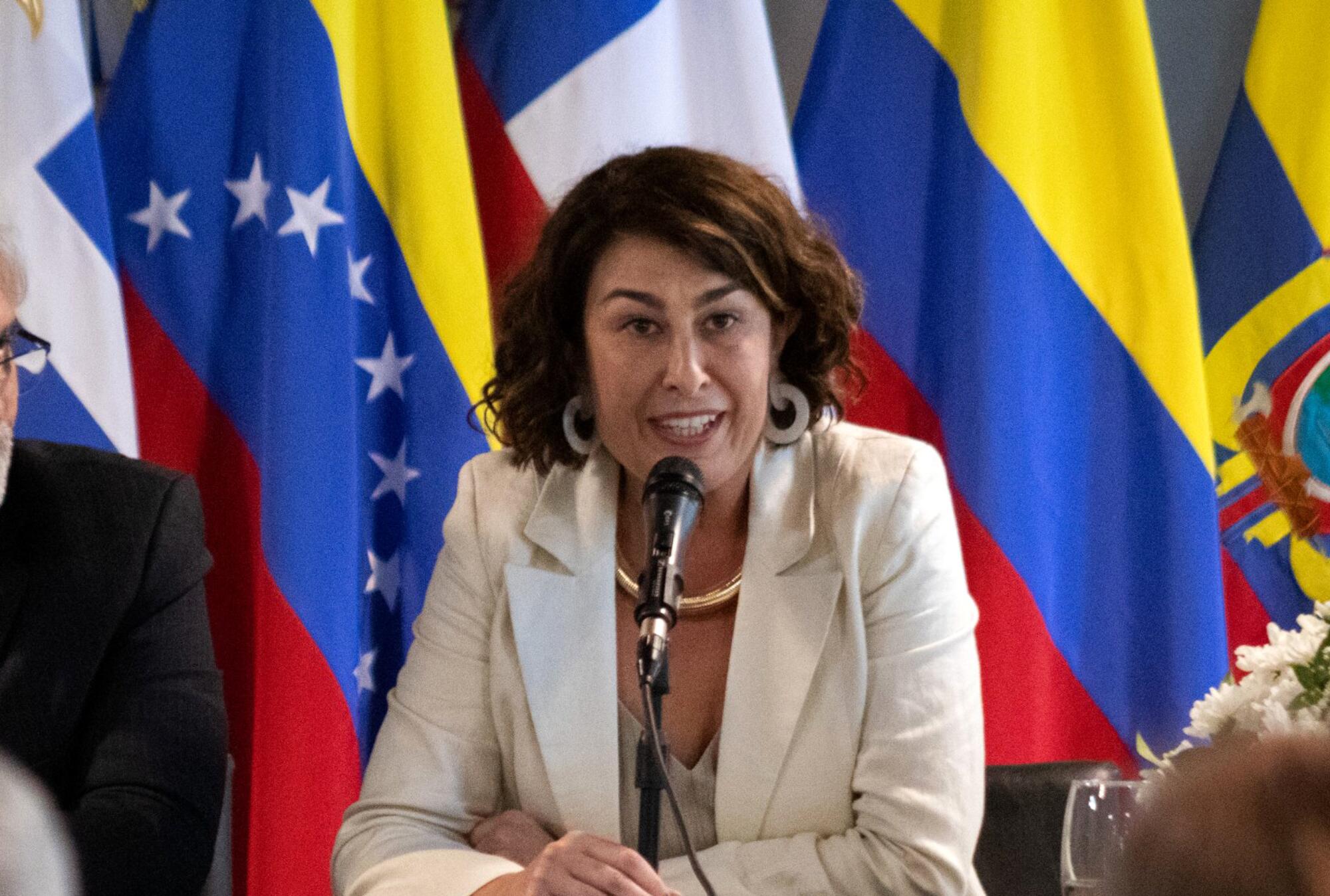 Andressa Caldas, directora del Instituto de Políticas Públicas en Derechos Humanos (IPPDH) del Mercosur.