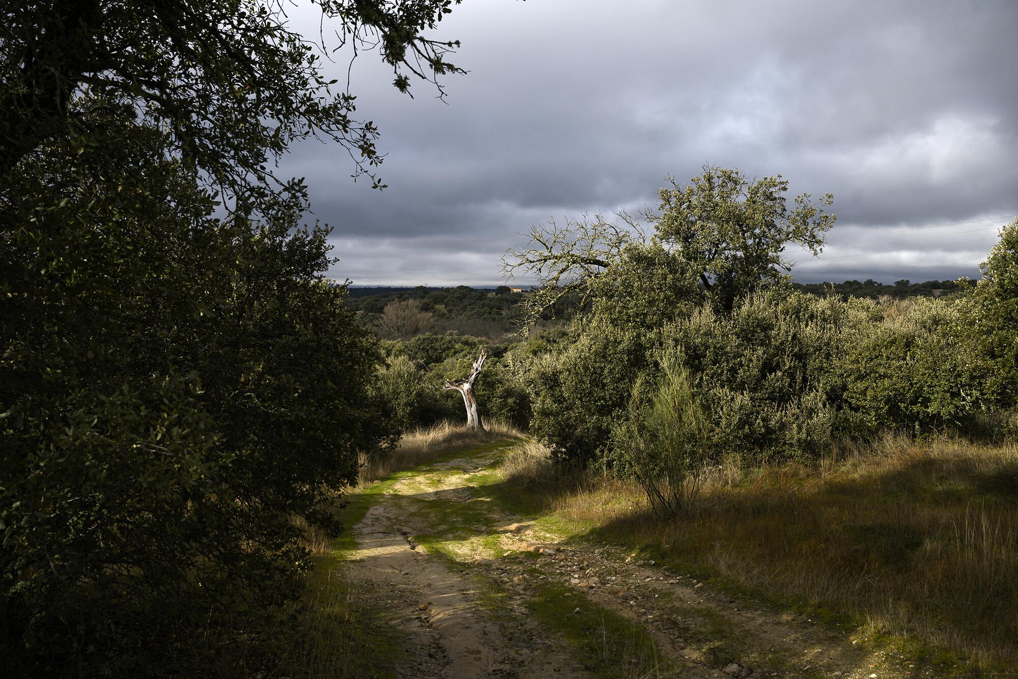 Brigadista Boadilla - 3