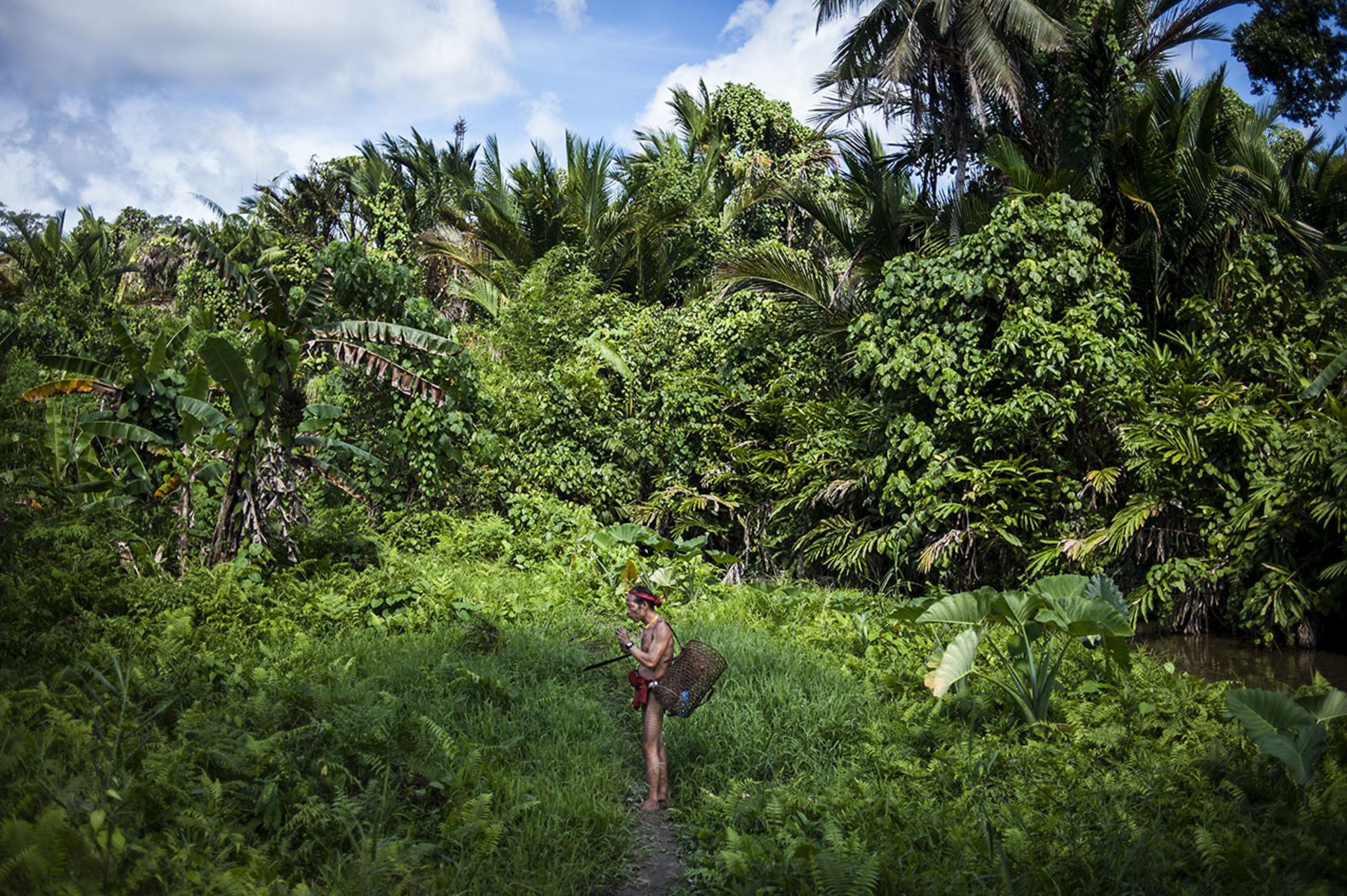 Mentawai 1