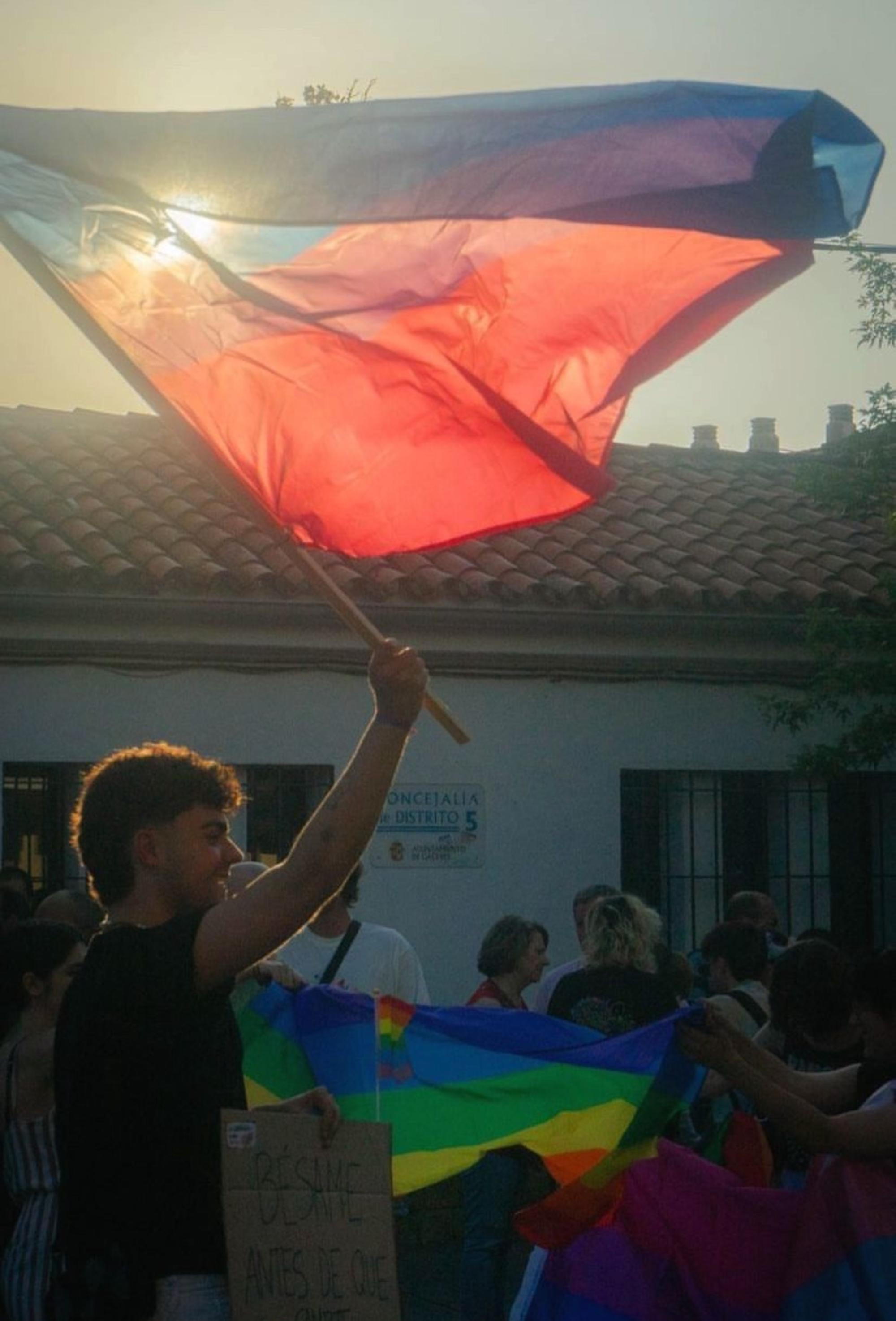 Foto bandera bisexual