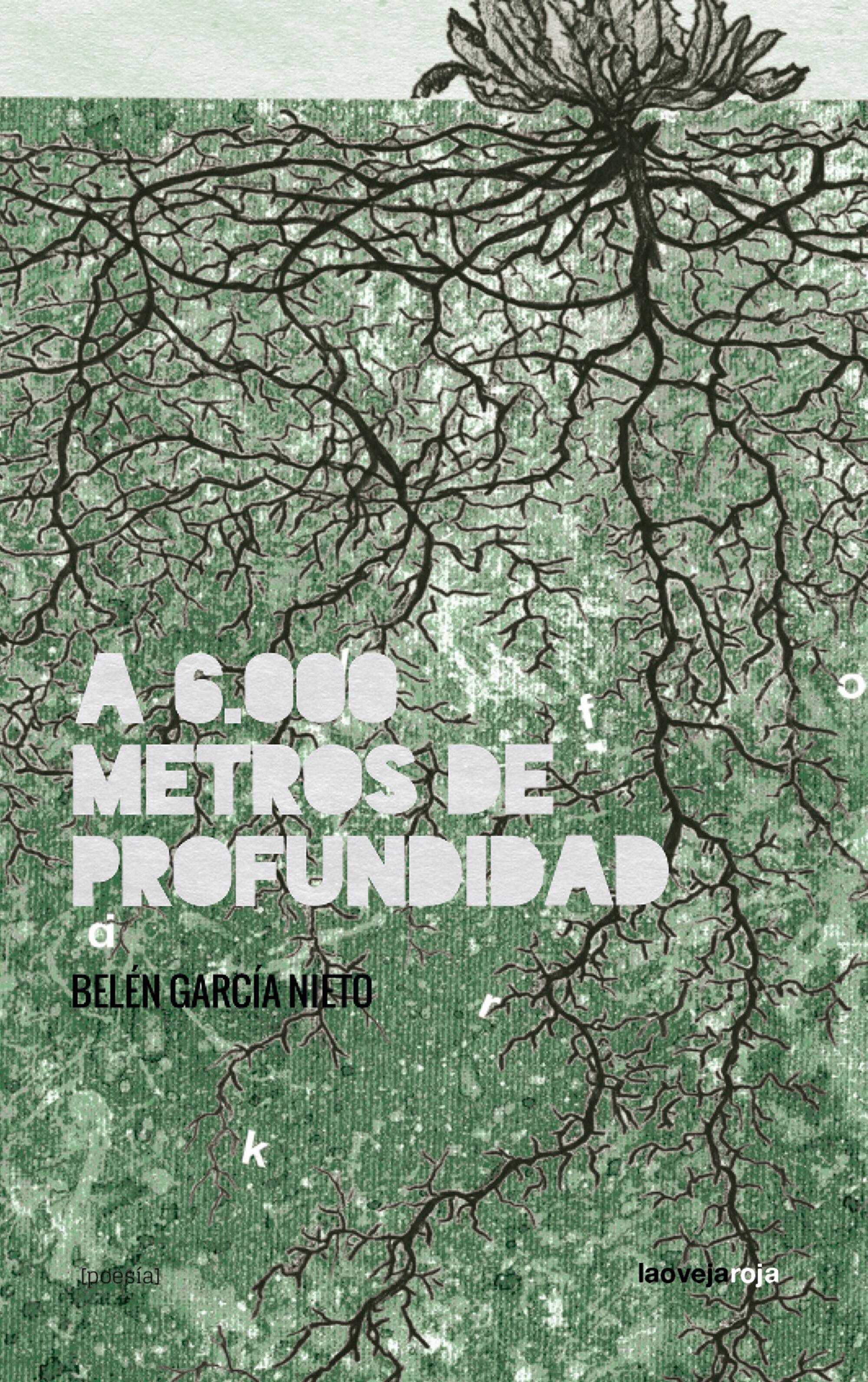 A 6000 Metros de Profundidad