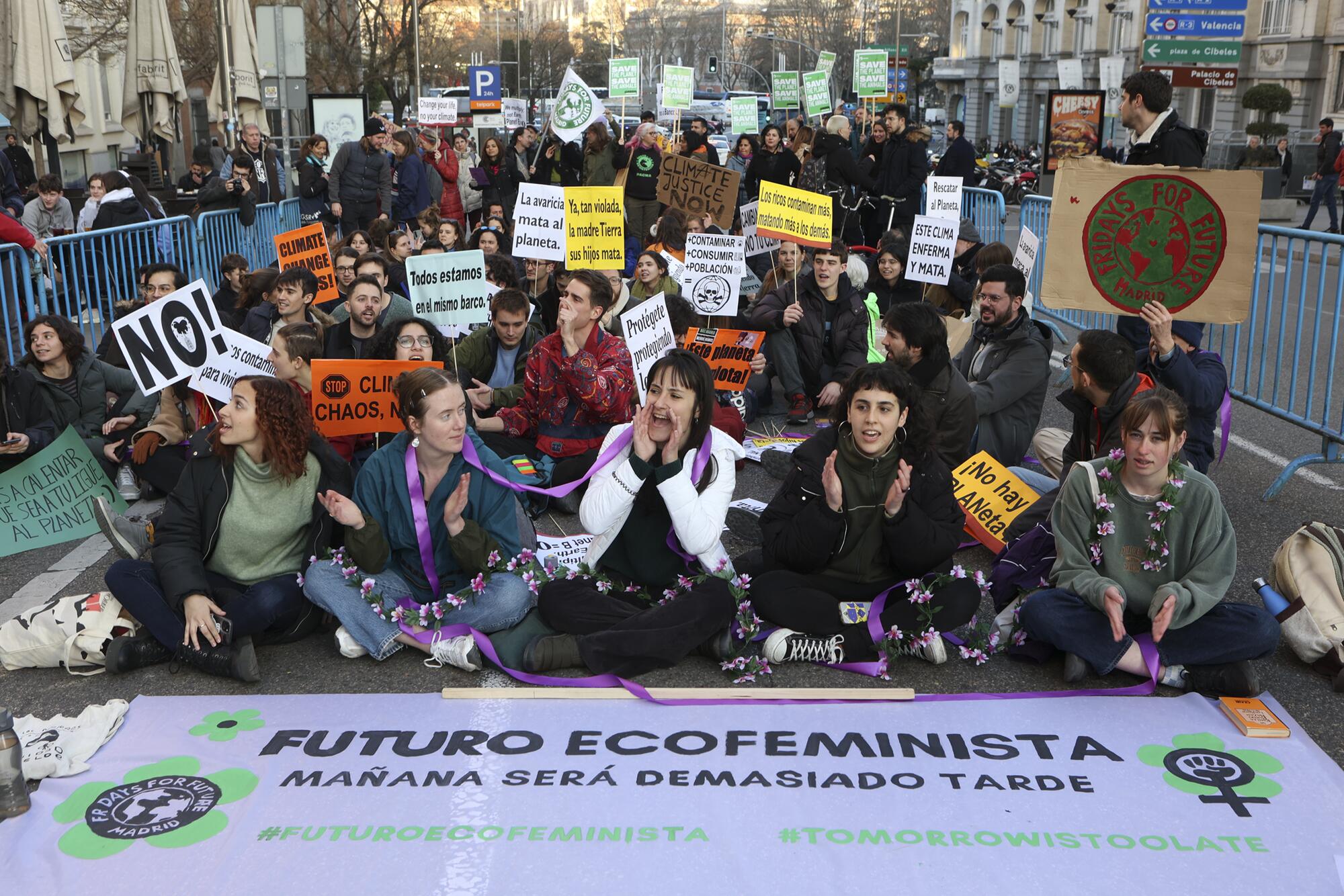 Acción por el Clima, Fridays for Future Madrid, en el Congreso - 4