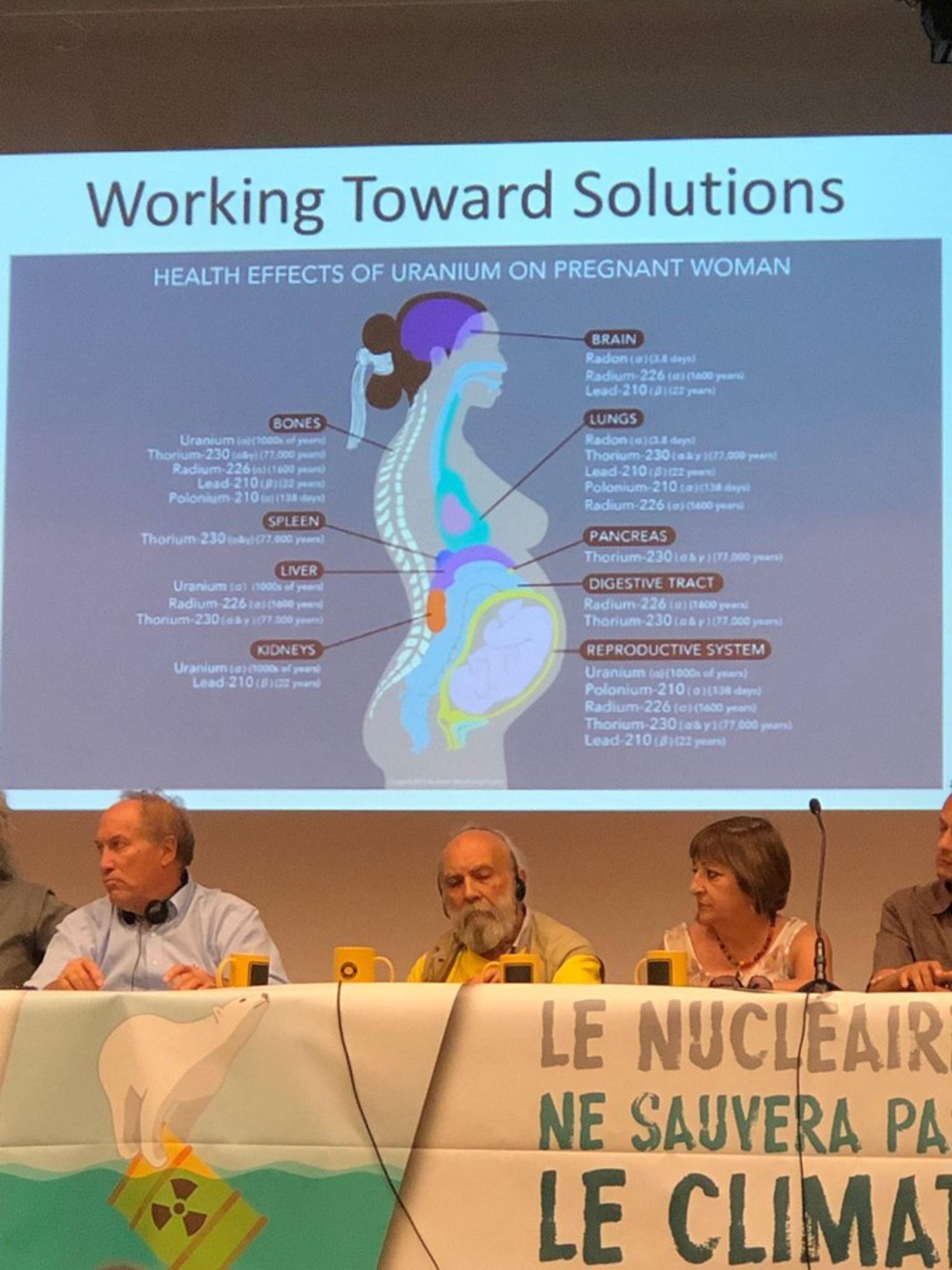 Efectos de la radiación en el cuerpo de una mujer embarazada. Foro Social Mundial Antinuclear Madrid 2019