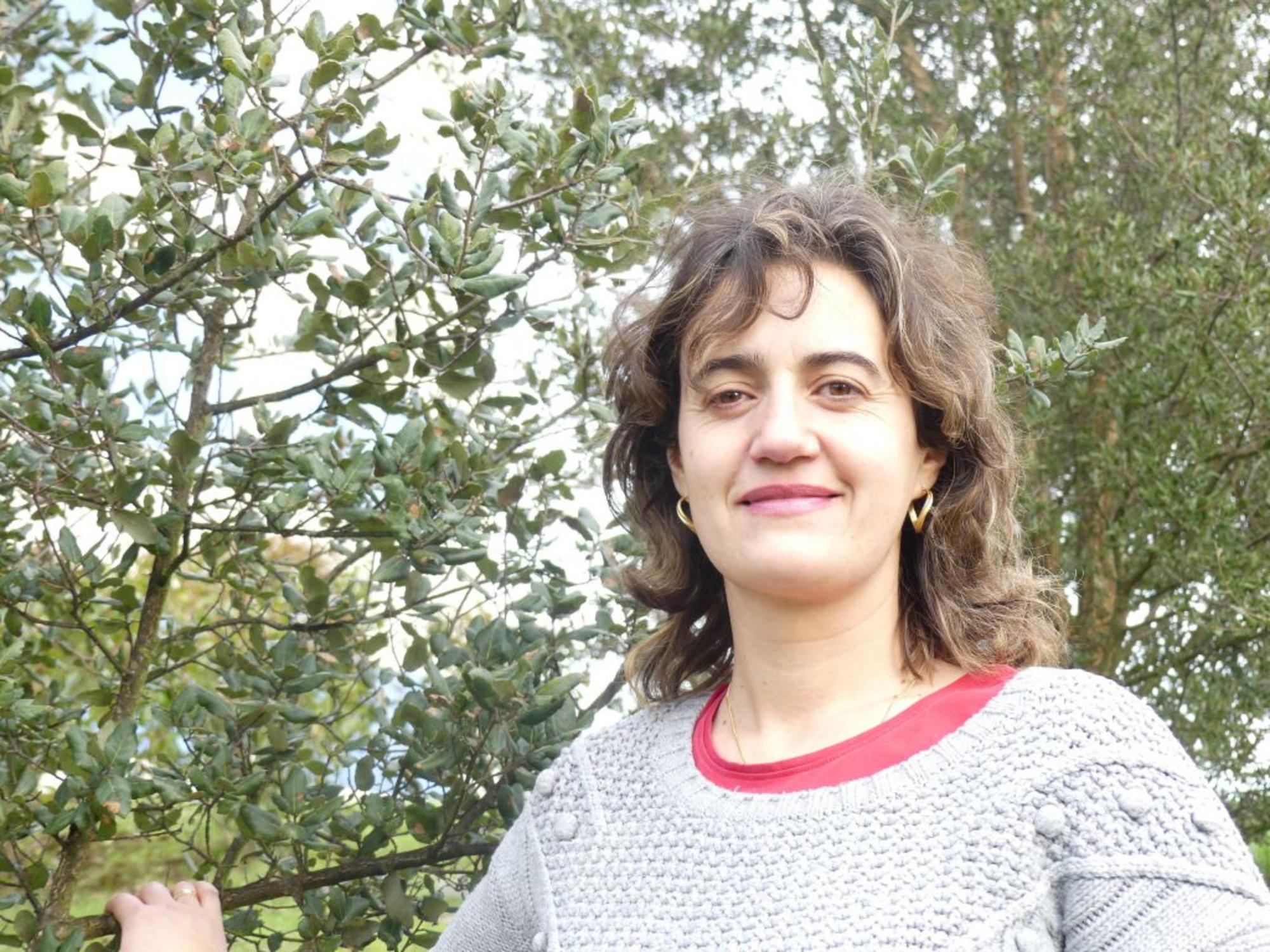neli