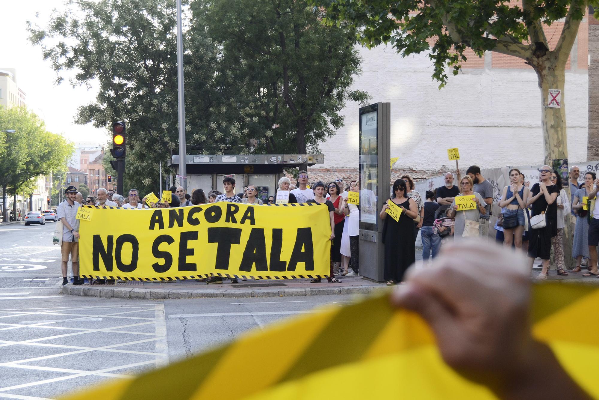 No a la tala salvemos la arboleda - 7