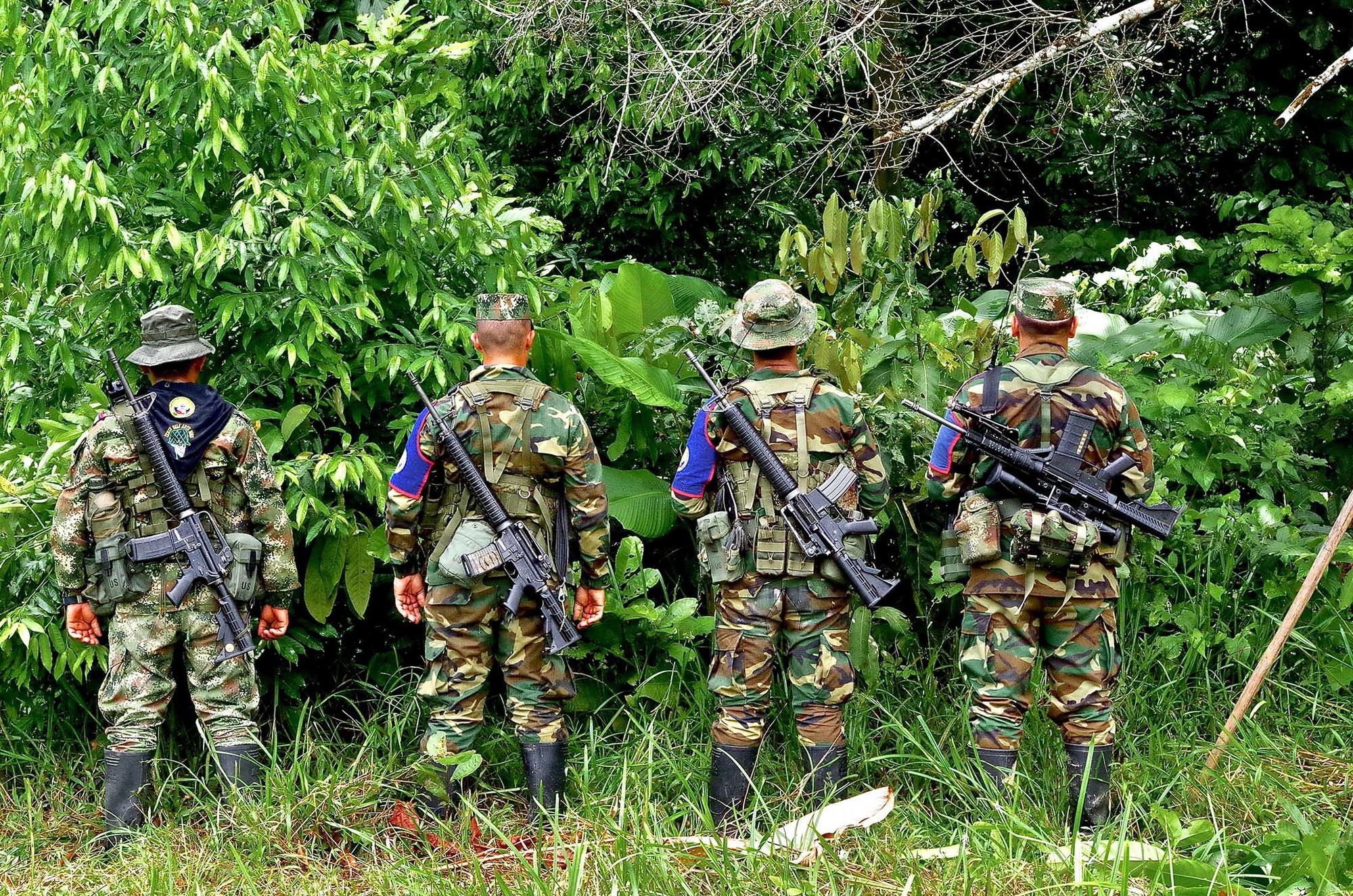 Frente Décimo, disidentes de las FARC