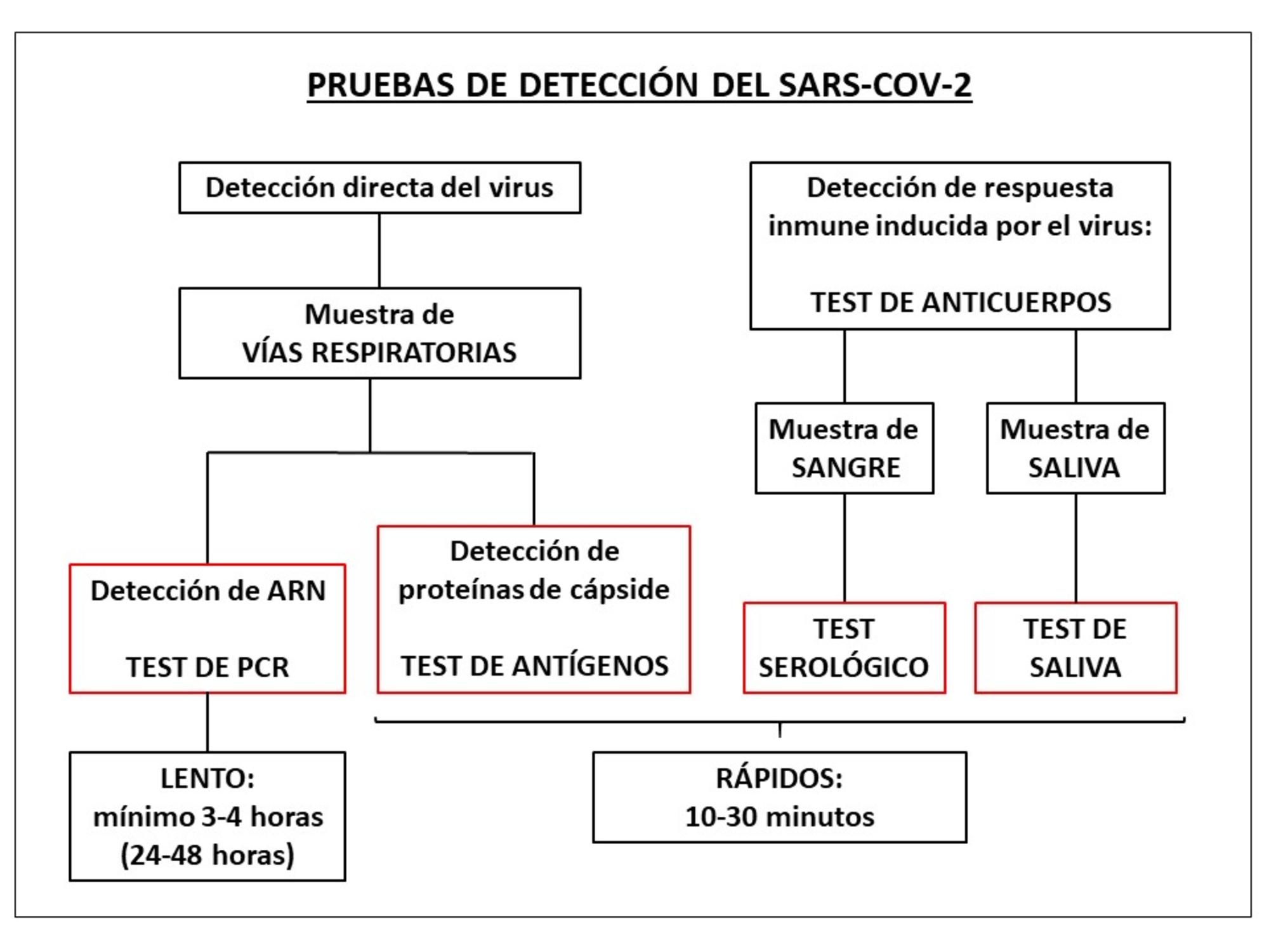 Pruebas para el SARS-CoV-2 . 